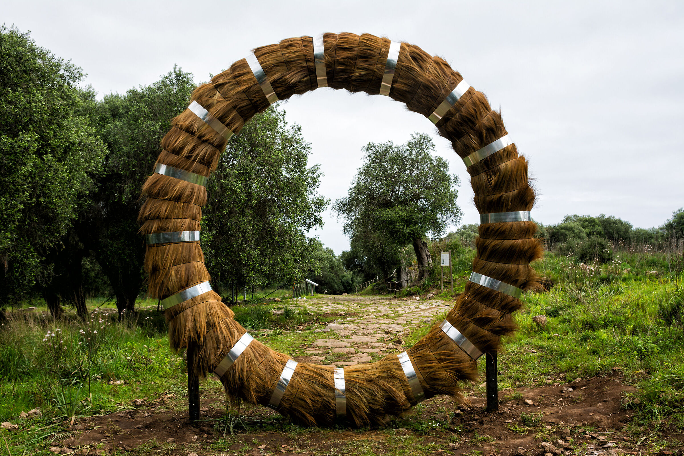 The stargate of the ancient city of Cosa