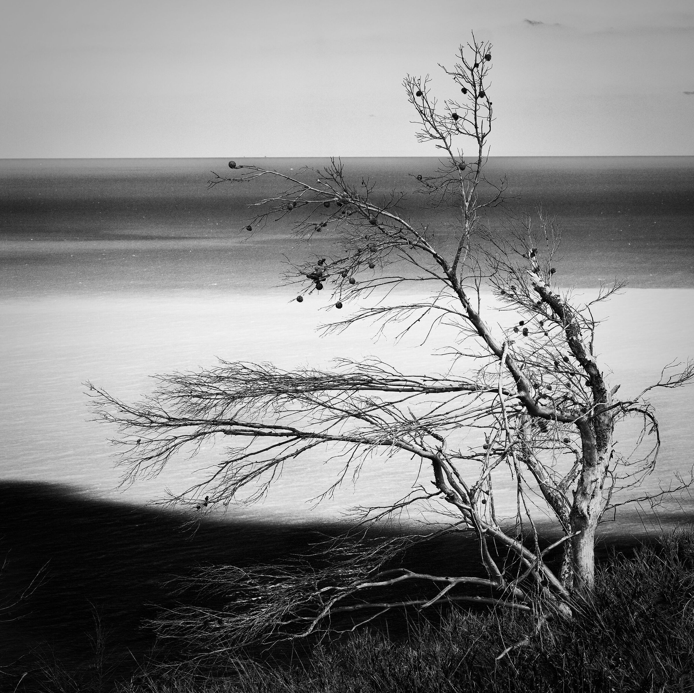 la fine...o...l'inizio...