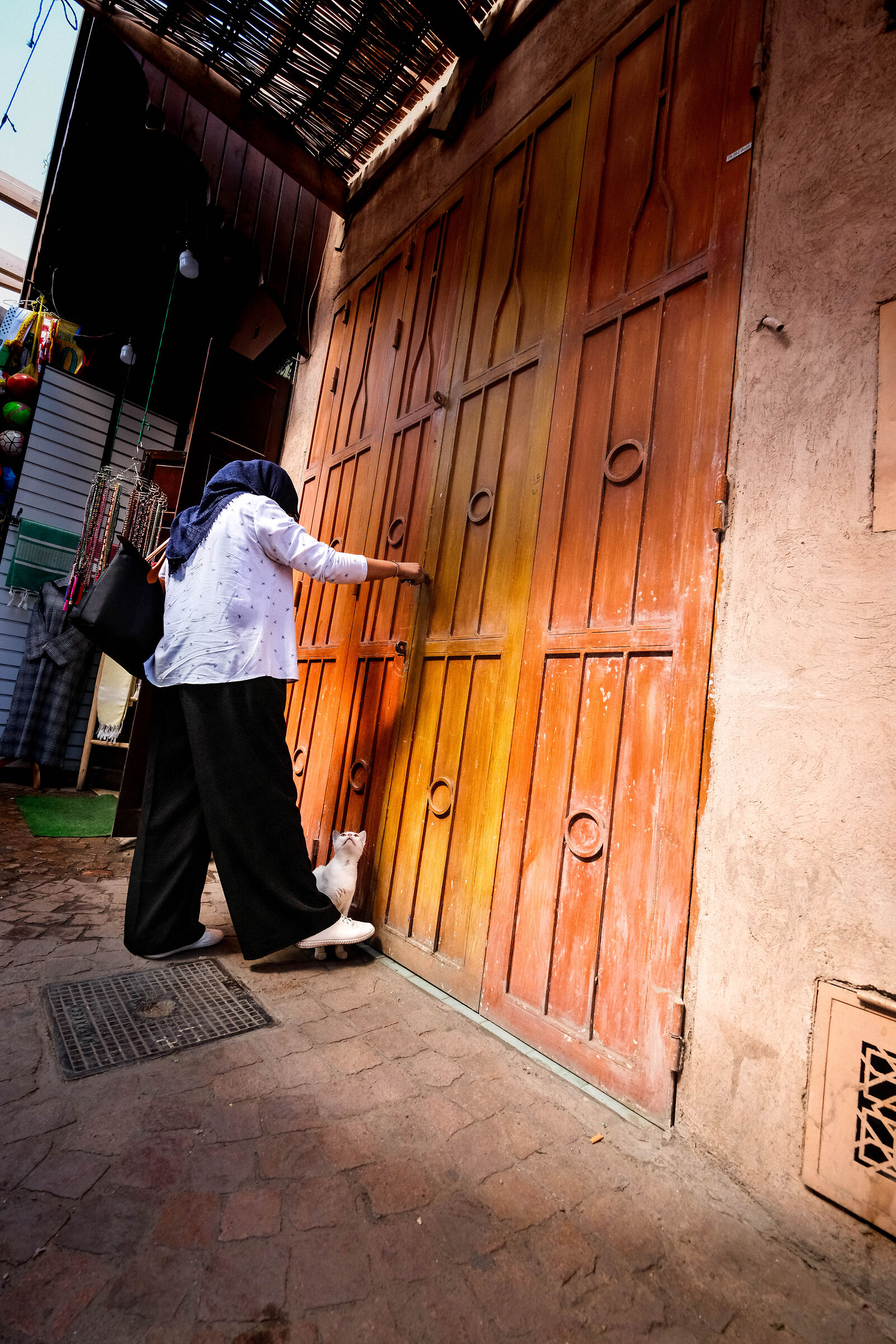 Marrakech ...città dei gatti!