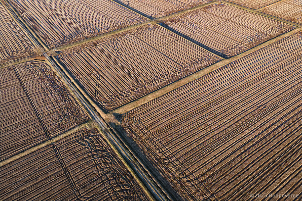 Multi processor