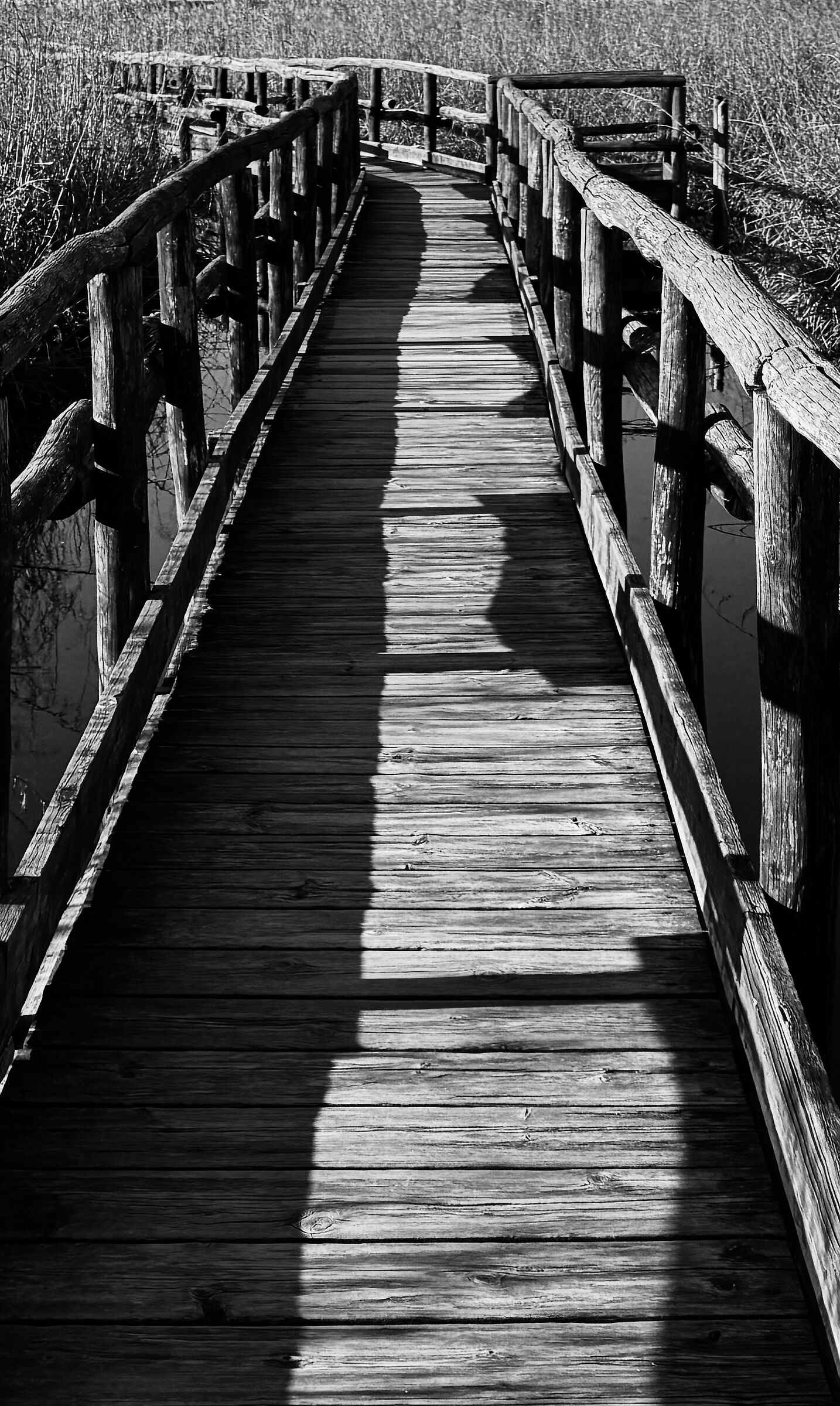 Untitled Photo