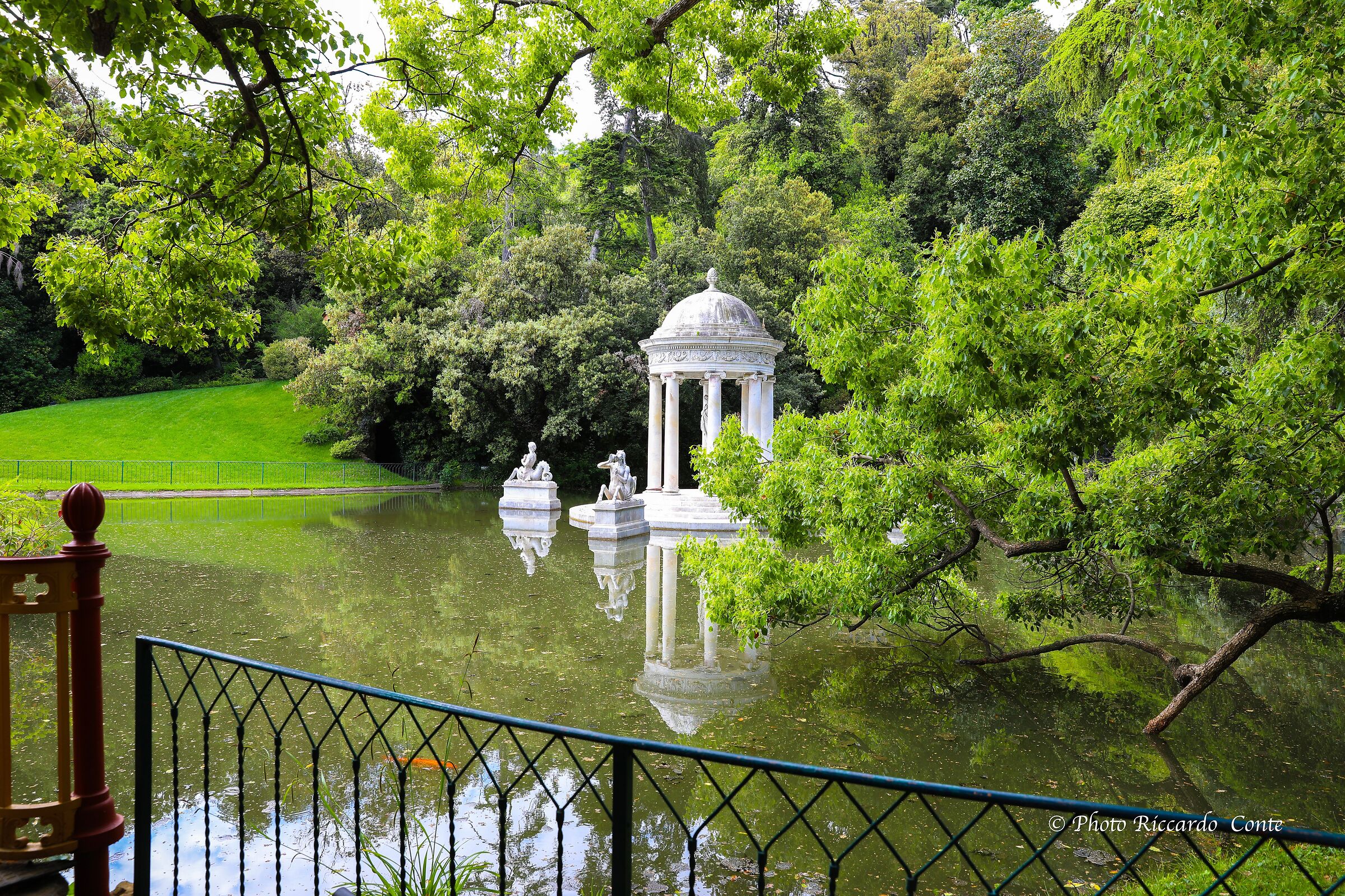 landscape