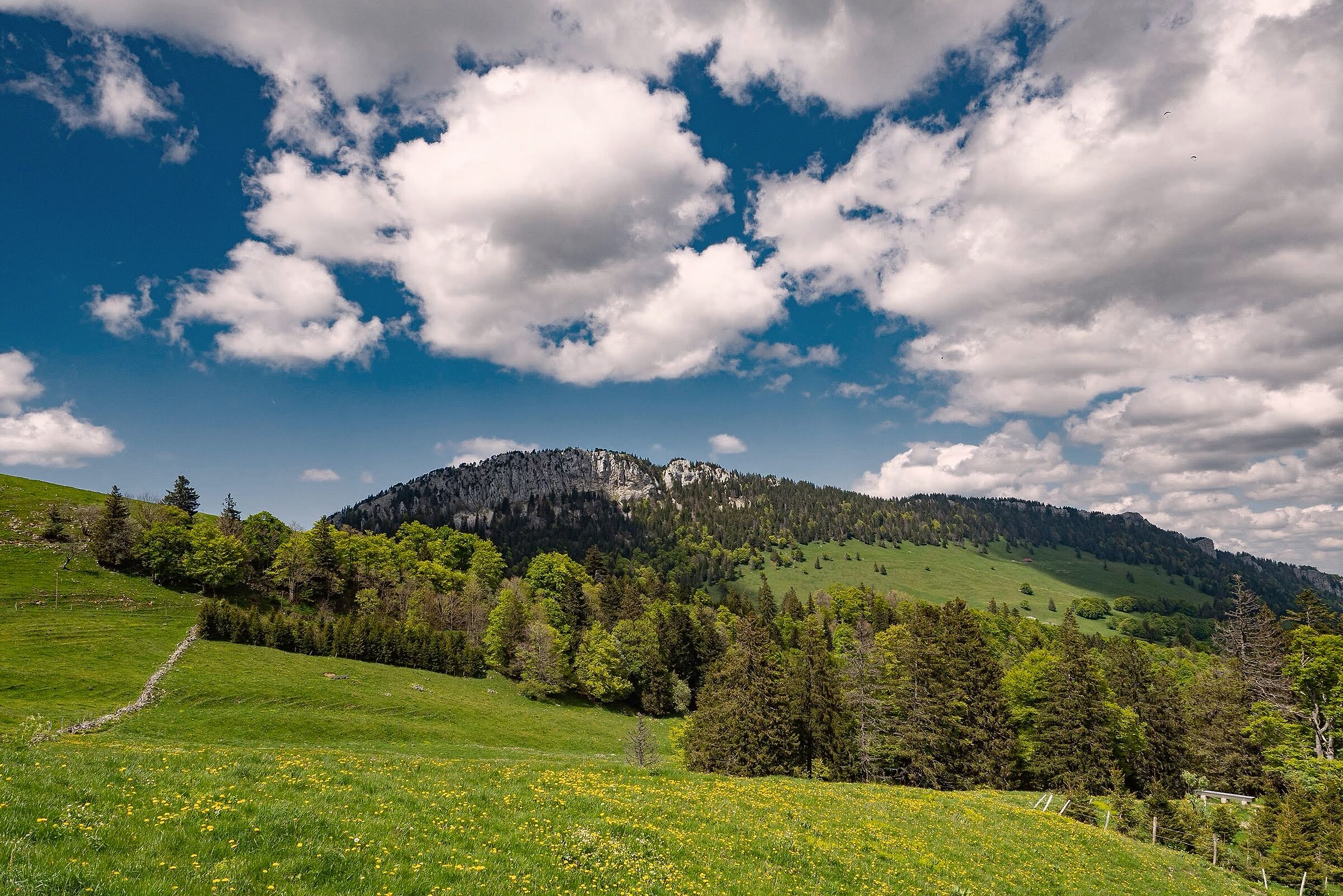 Les Aiguilles de Baulmes, Jura Nord-vaudois, Svizzera