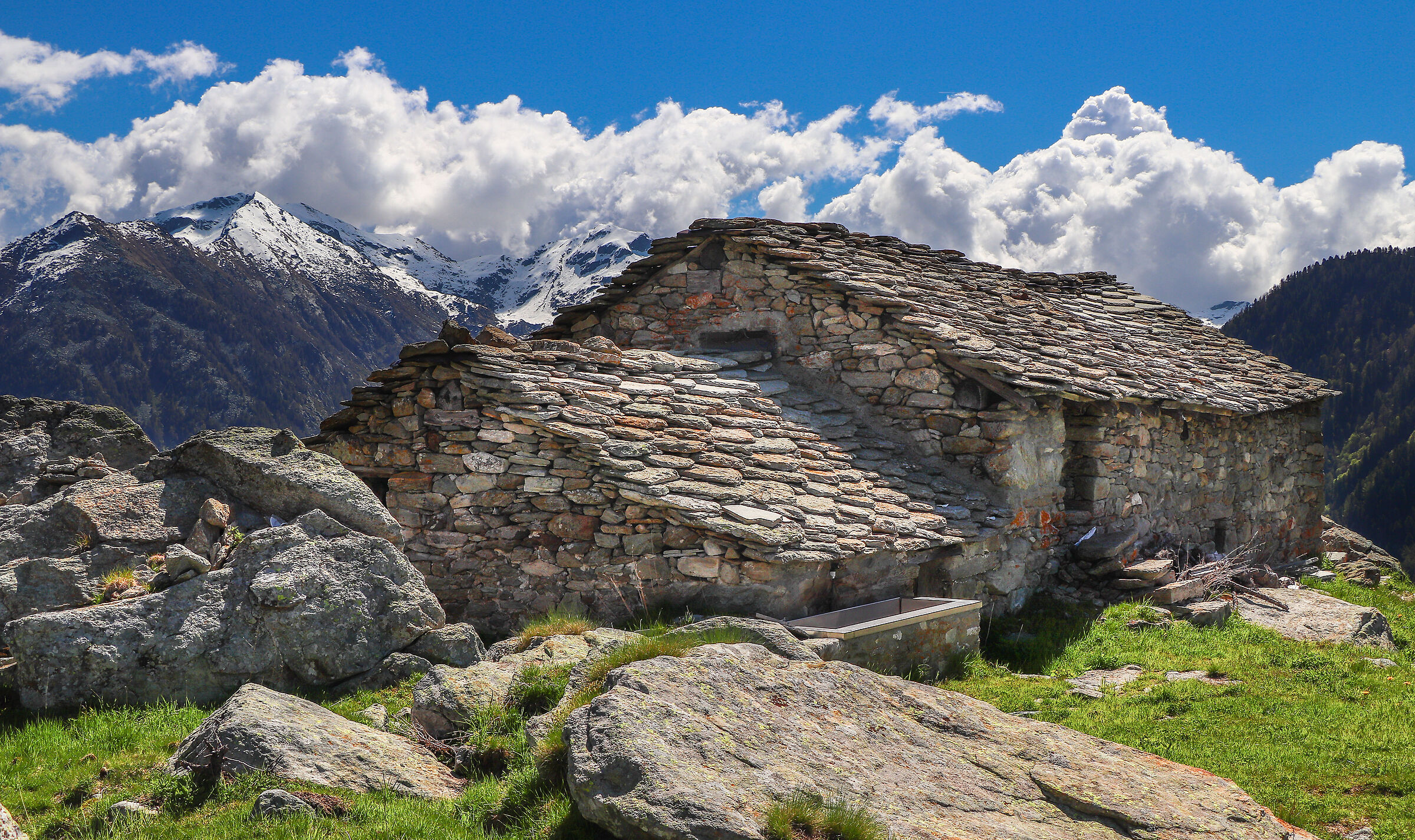 how I wish you were here