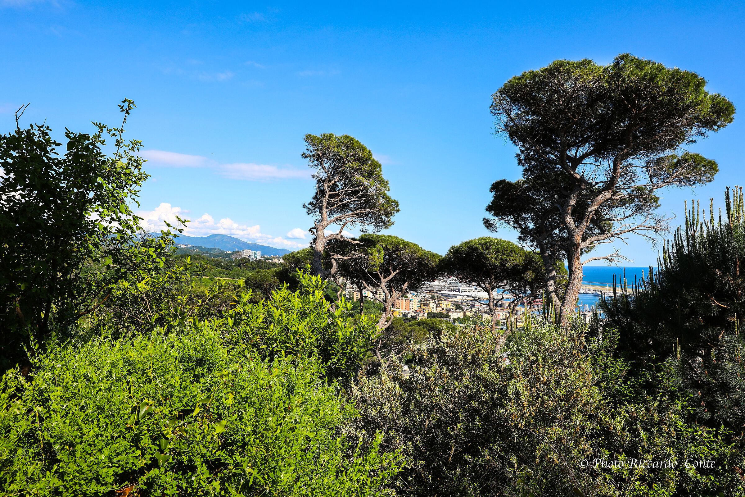 landscape