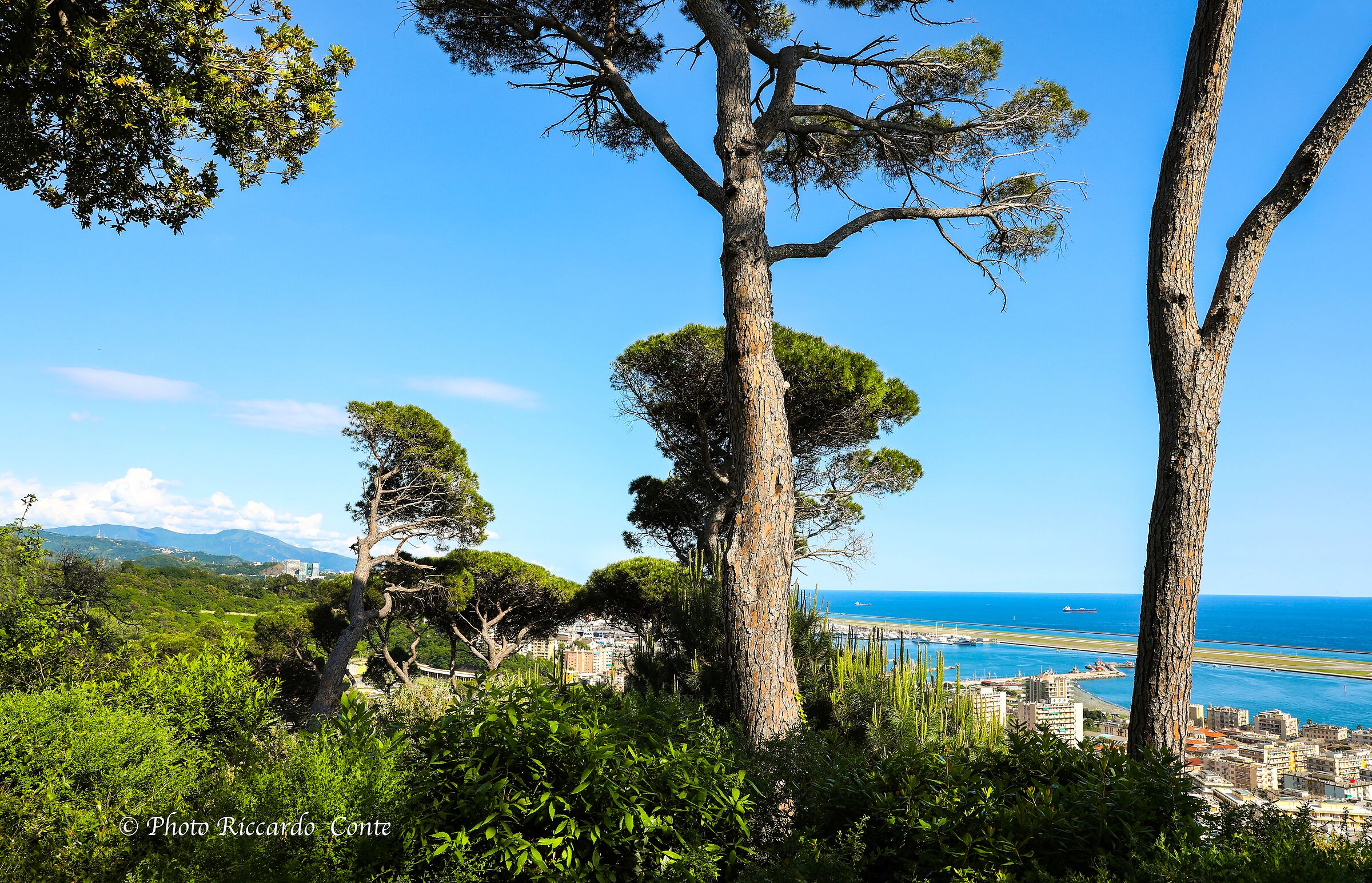 landscape