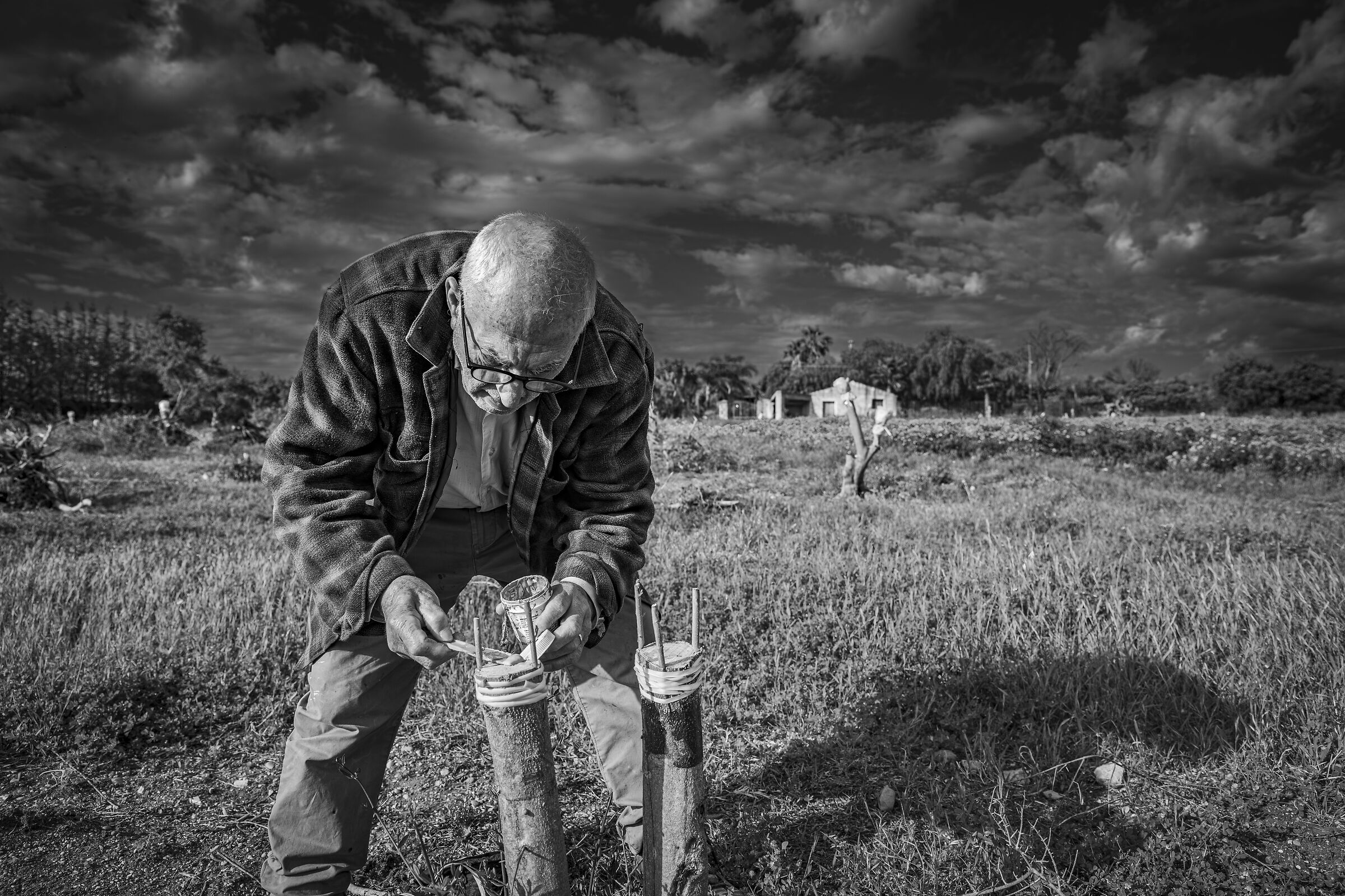 l'abilità di mio padre