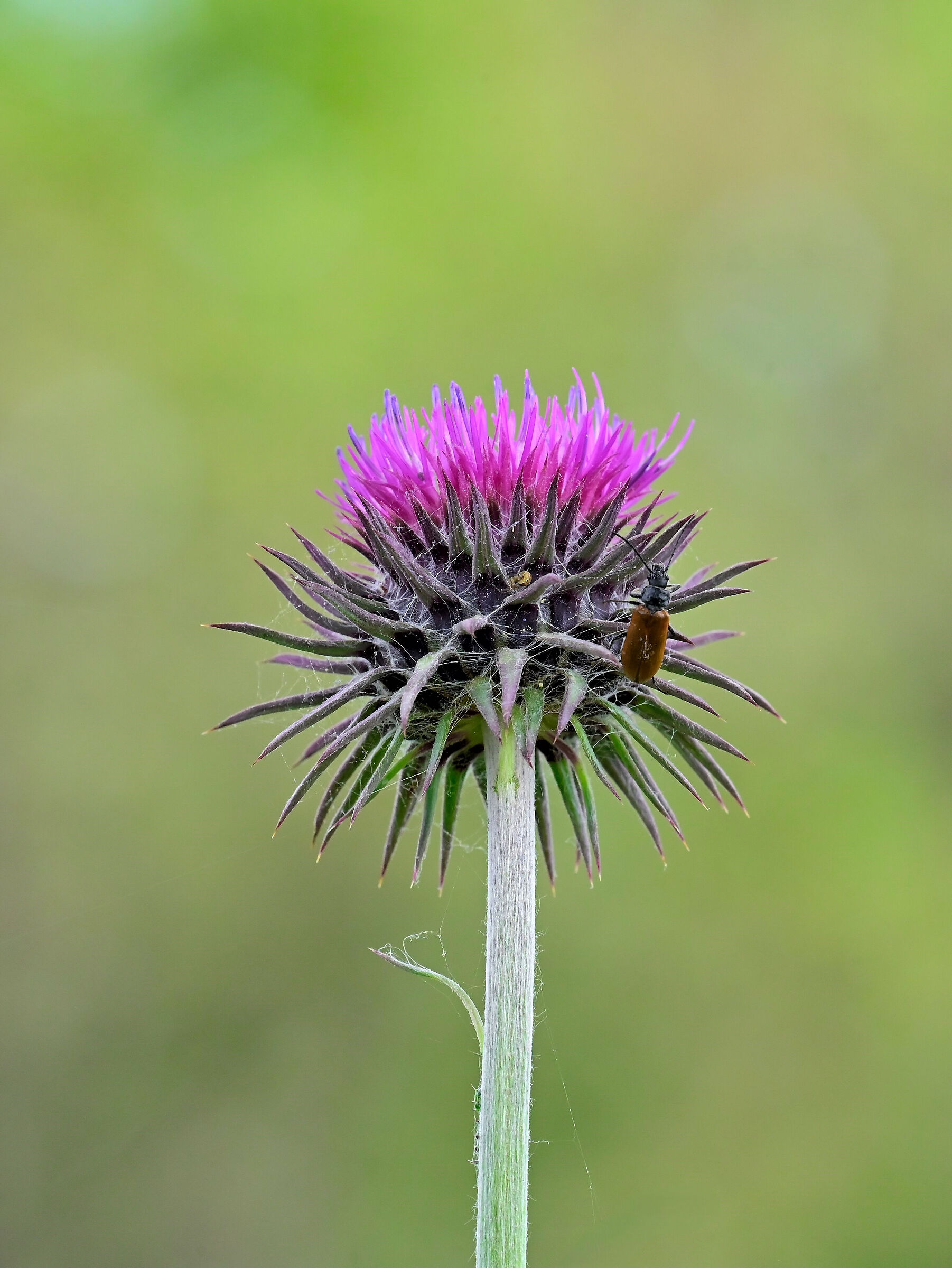He too has the right to a relaxing break