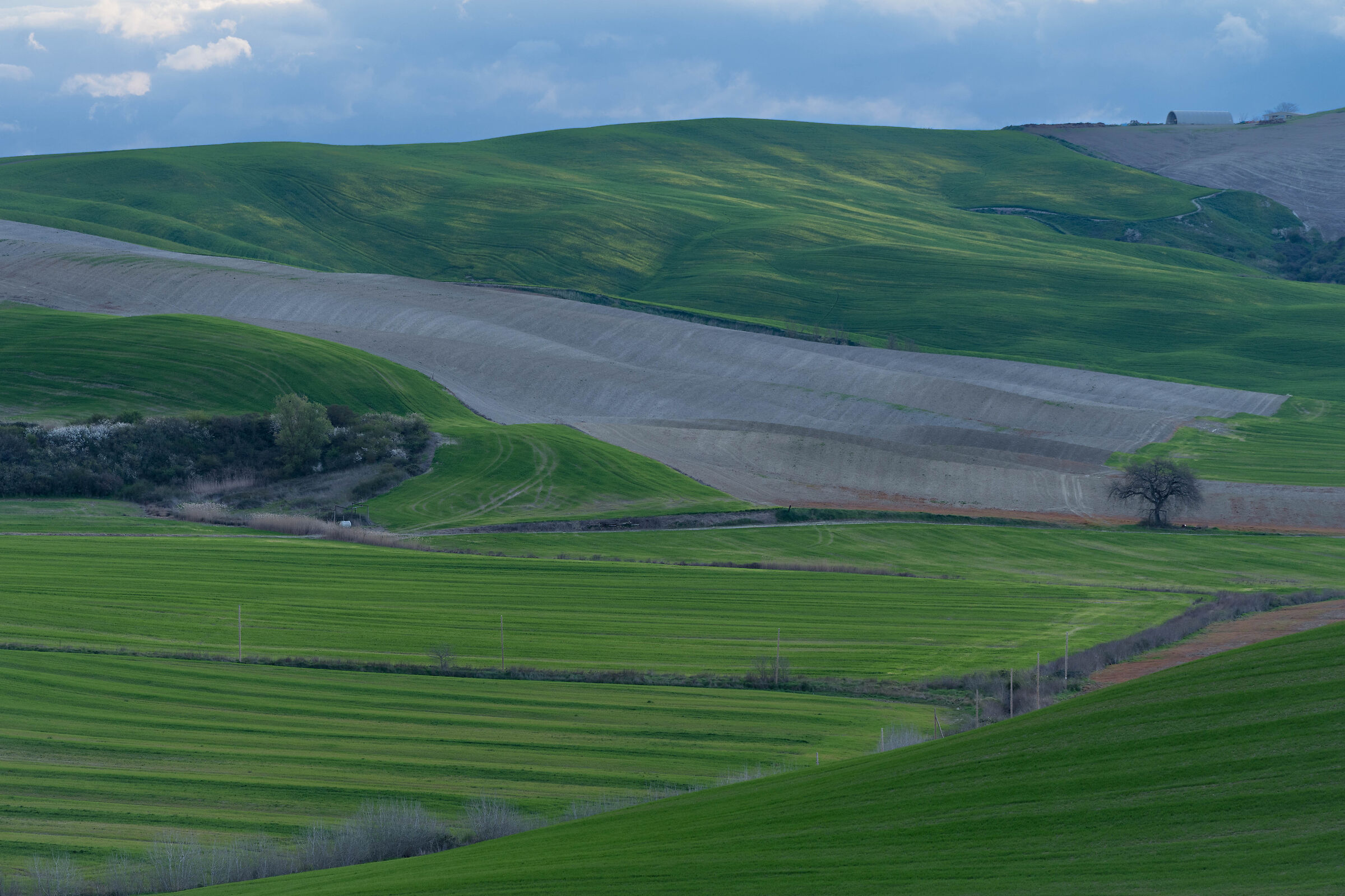 Crete Senesi