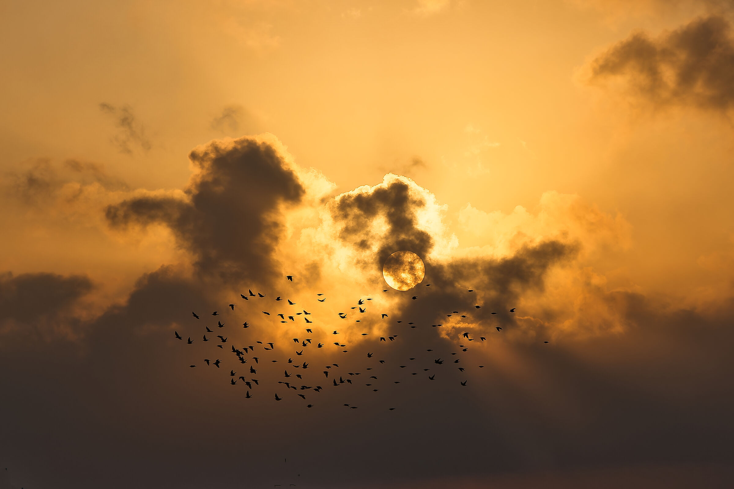 In the silence of a flight