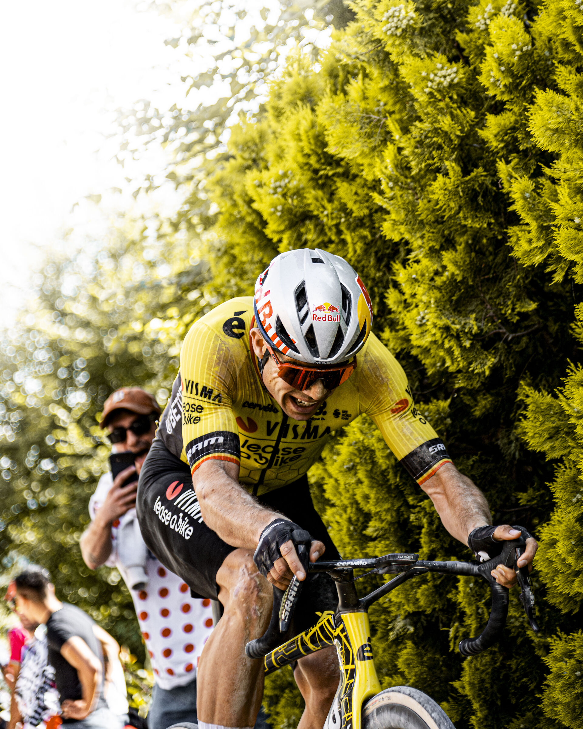 Wout Van Aert - Tappa 9 Giro d'Italia 2025