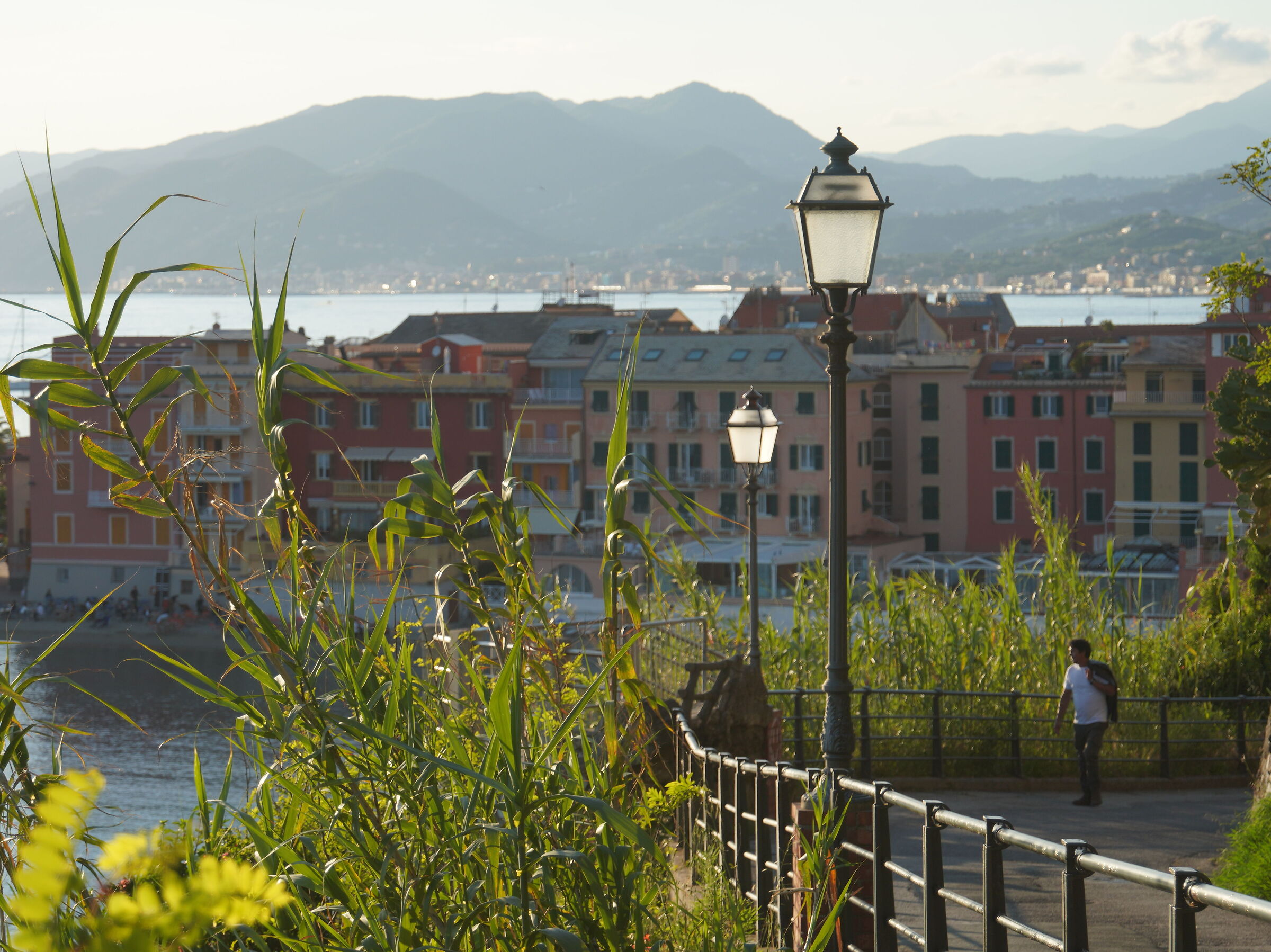 Panoramica
