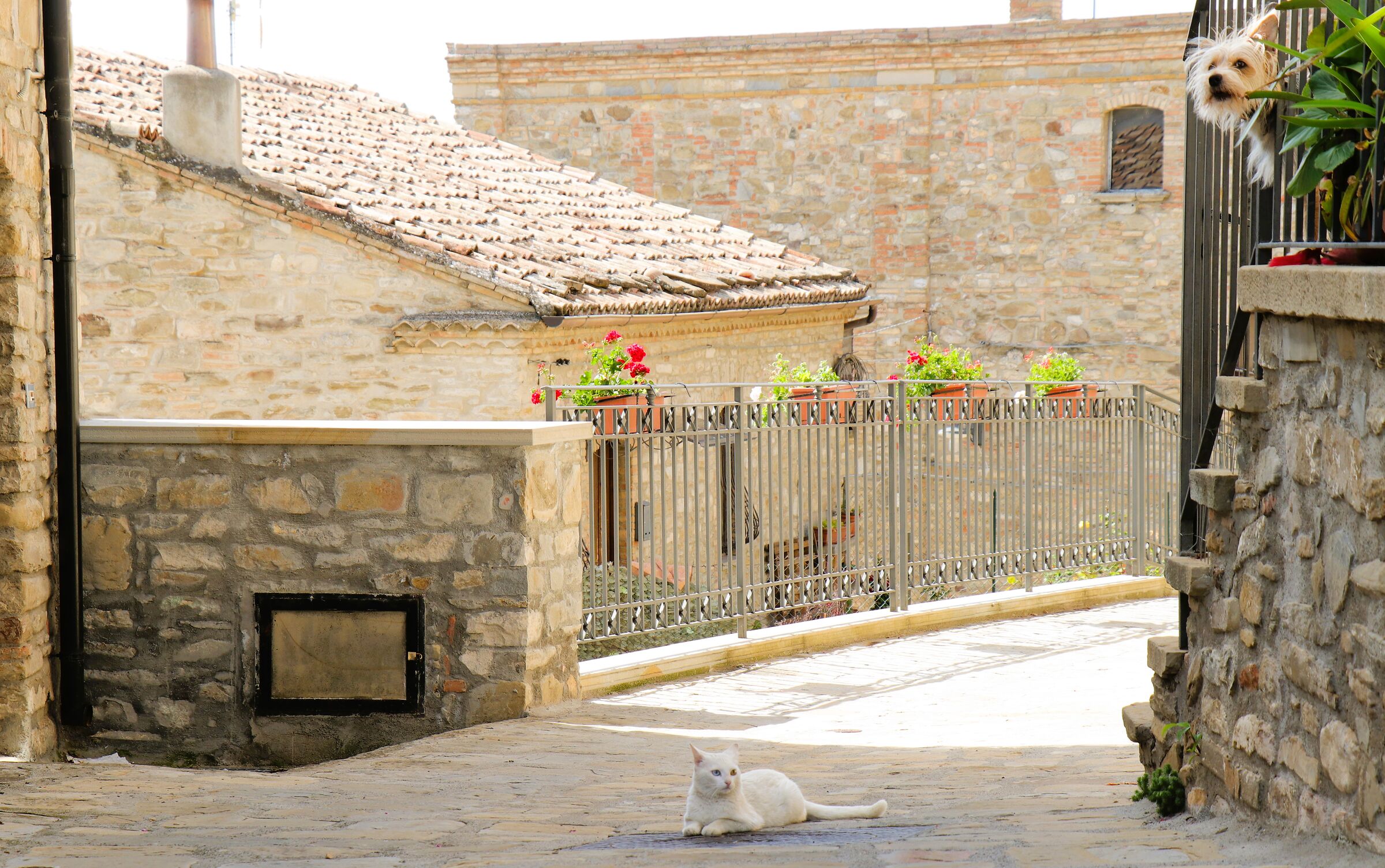 Beware of the tourist...