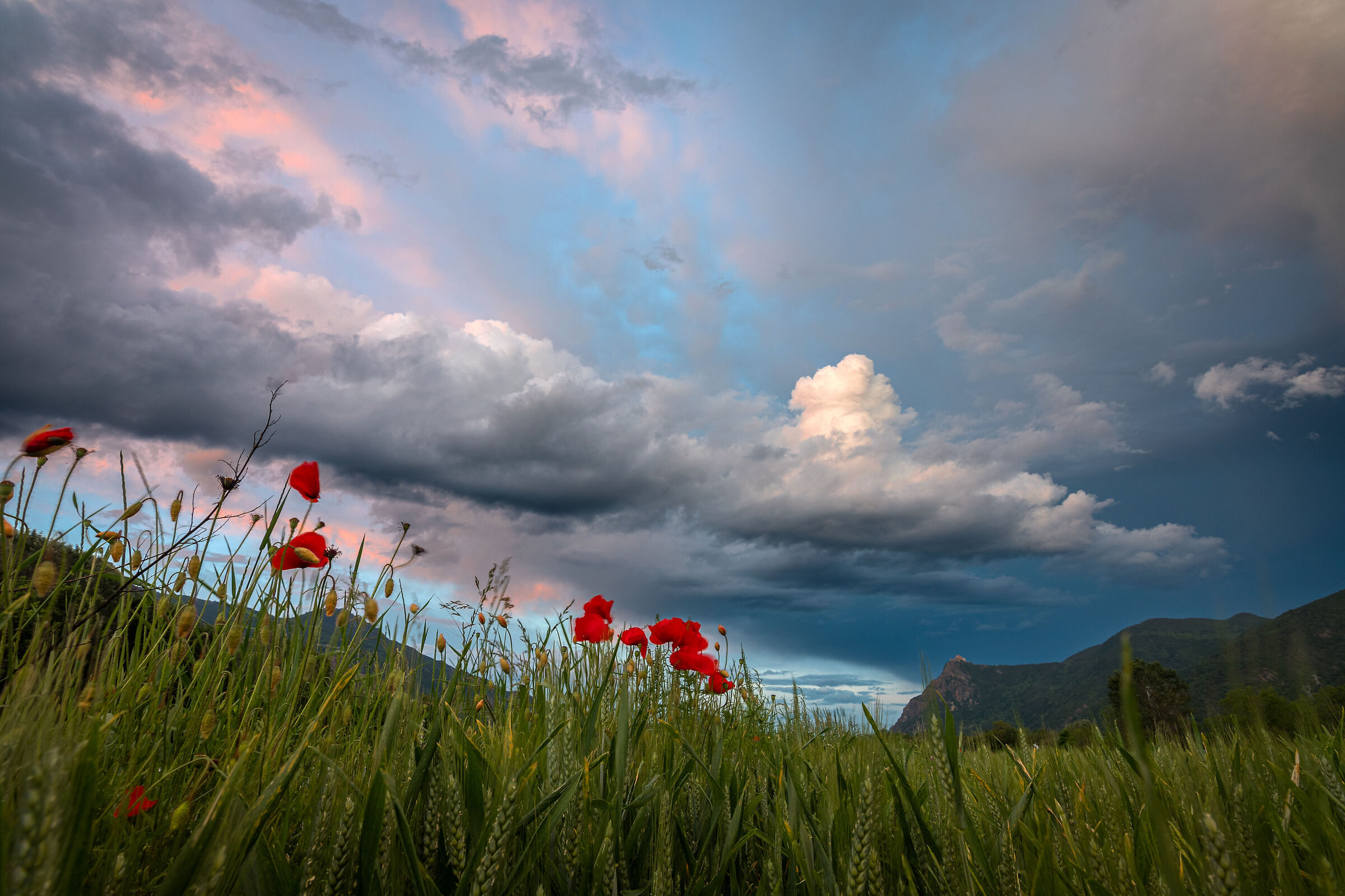 Spring Skies ... (Fondovalle, from Vaie, Valsusa)