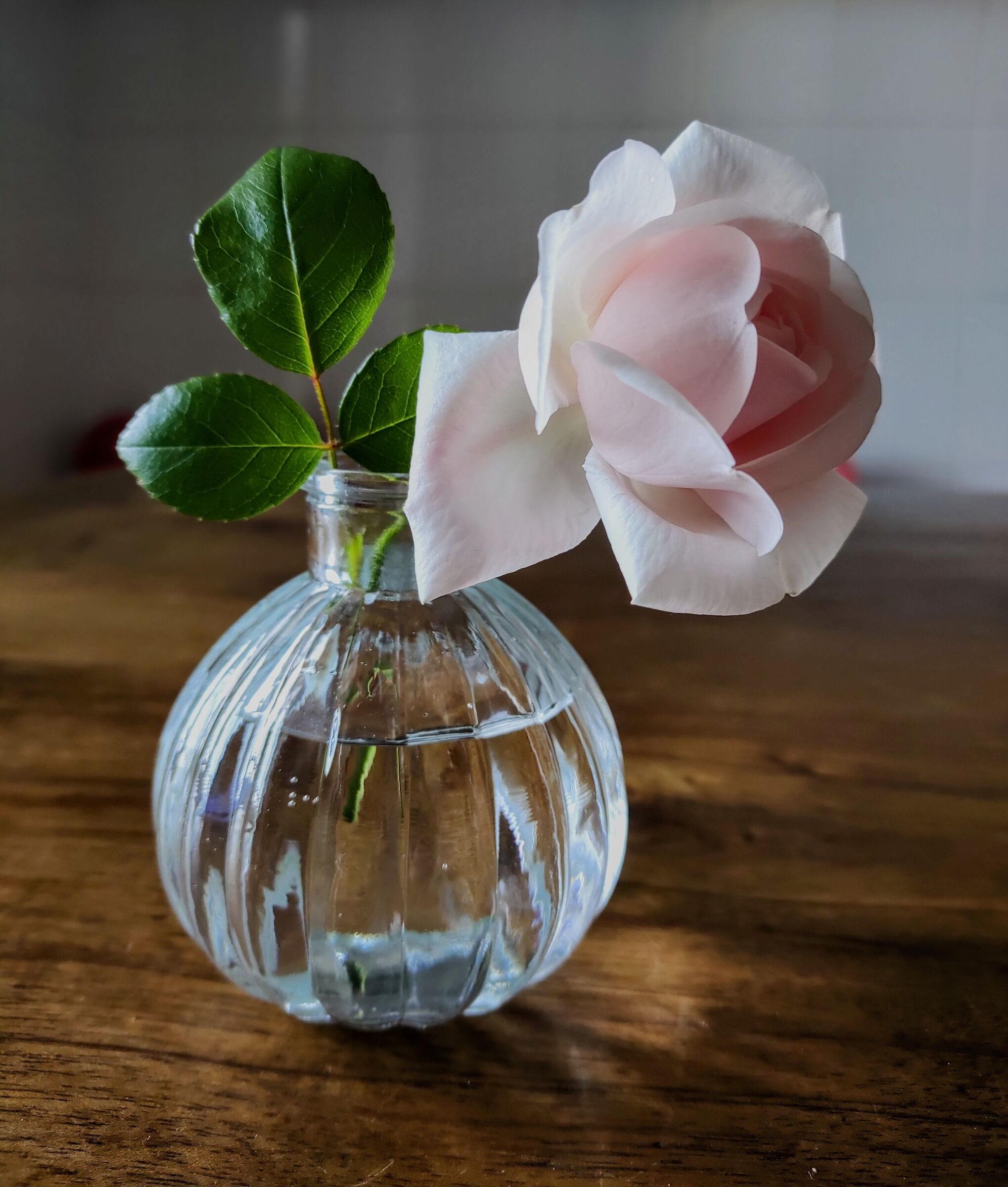 Morning, after breakfast