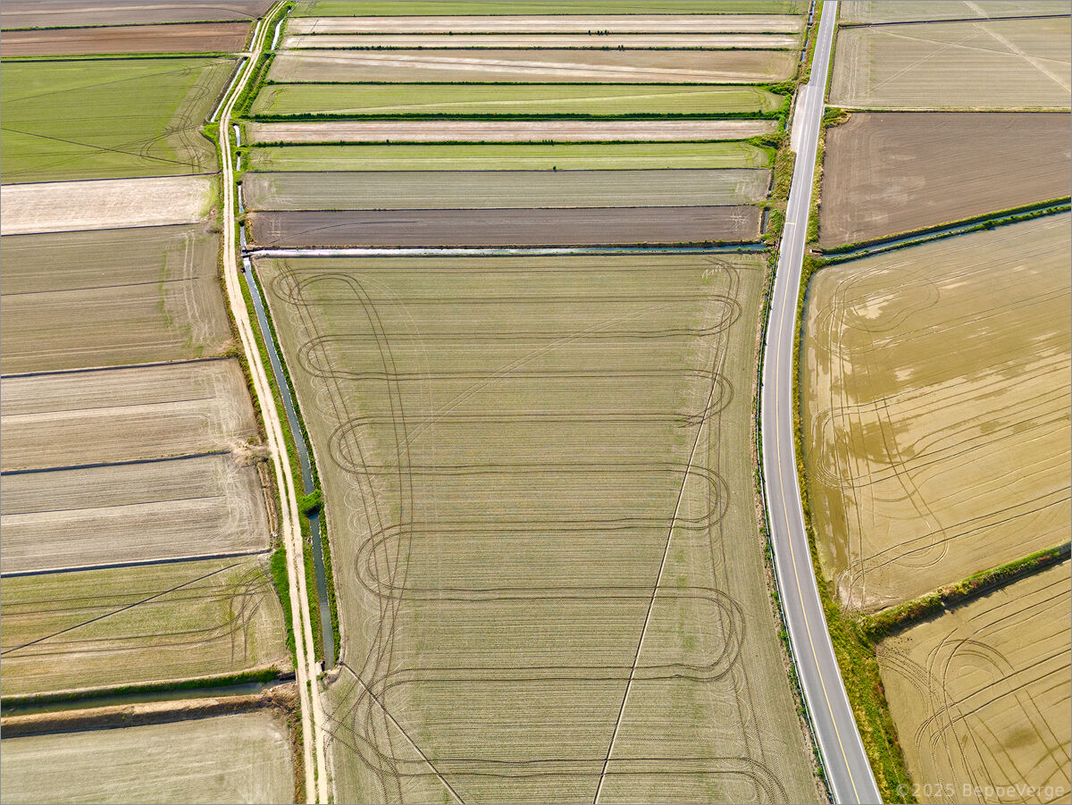 Diversified sowing