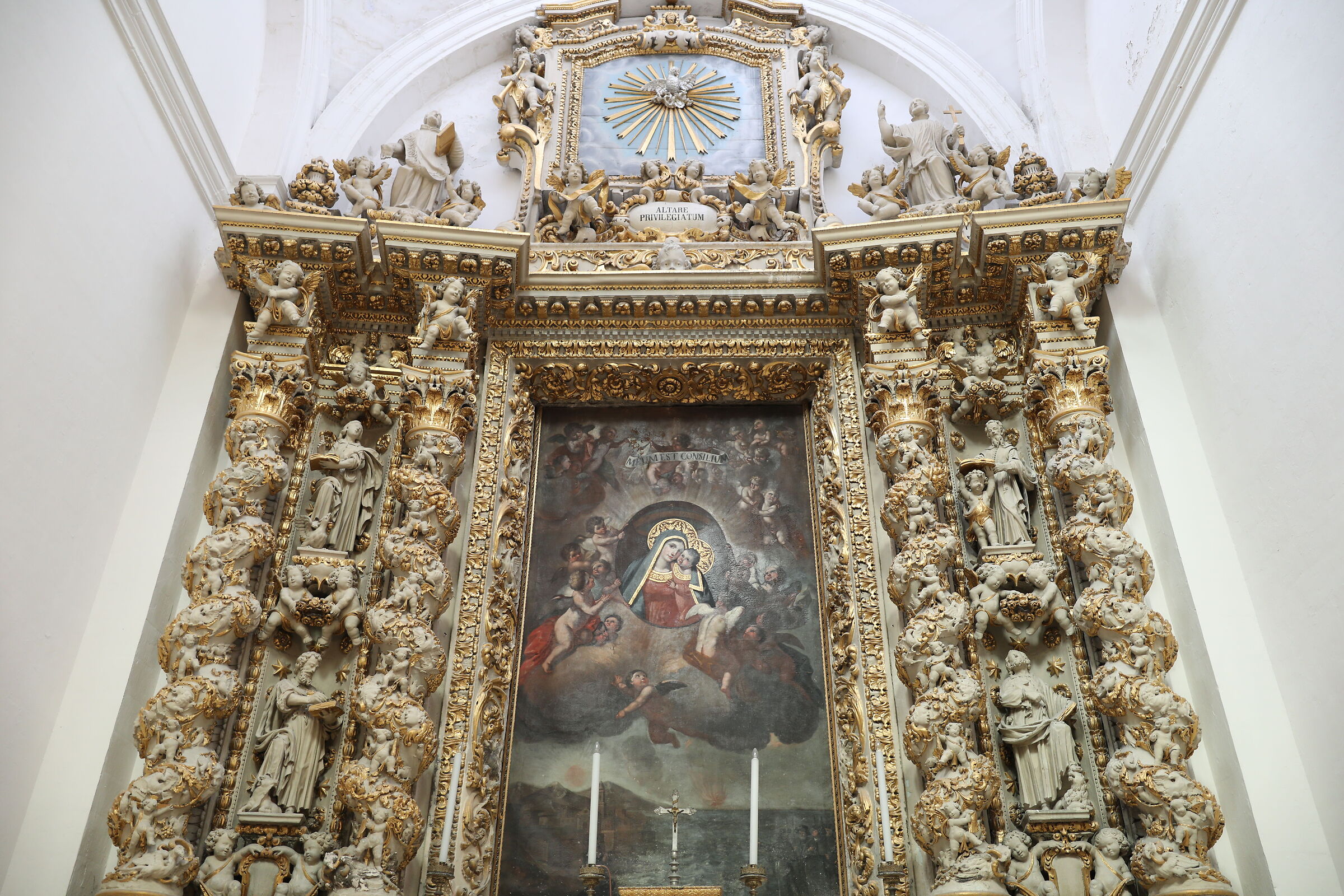 @ " F. 1.4 ", Sigma 28, 1.4 Art- Canon 5 D IV