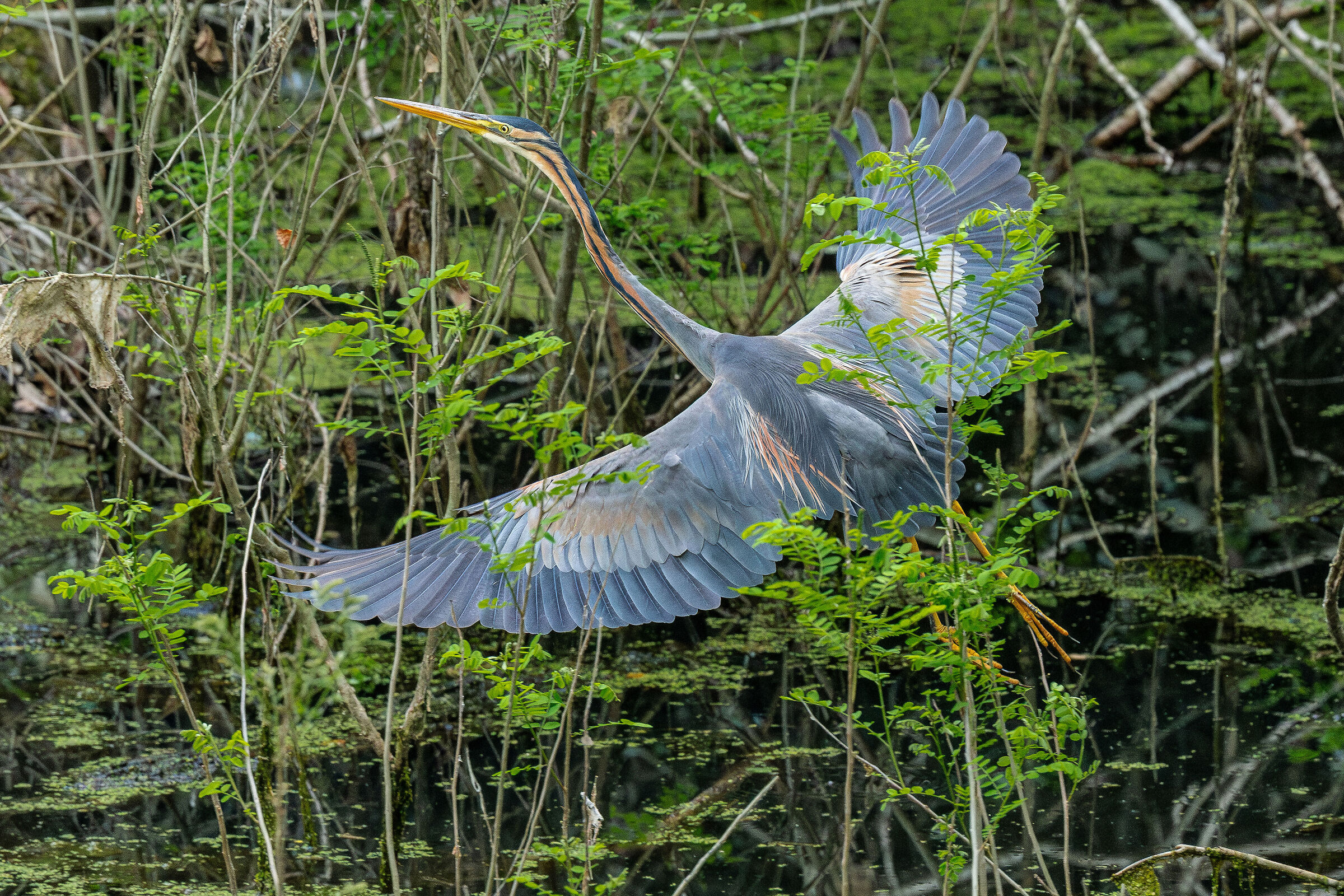 Appena fuori l'uscio di casa...