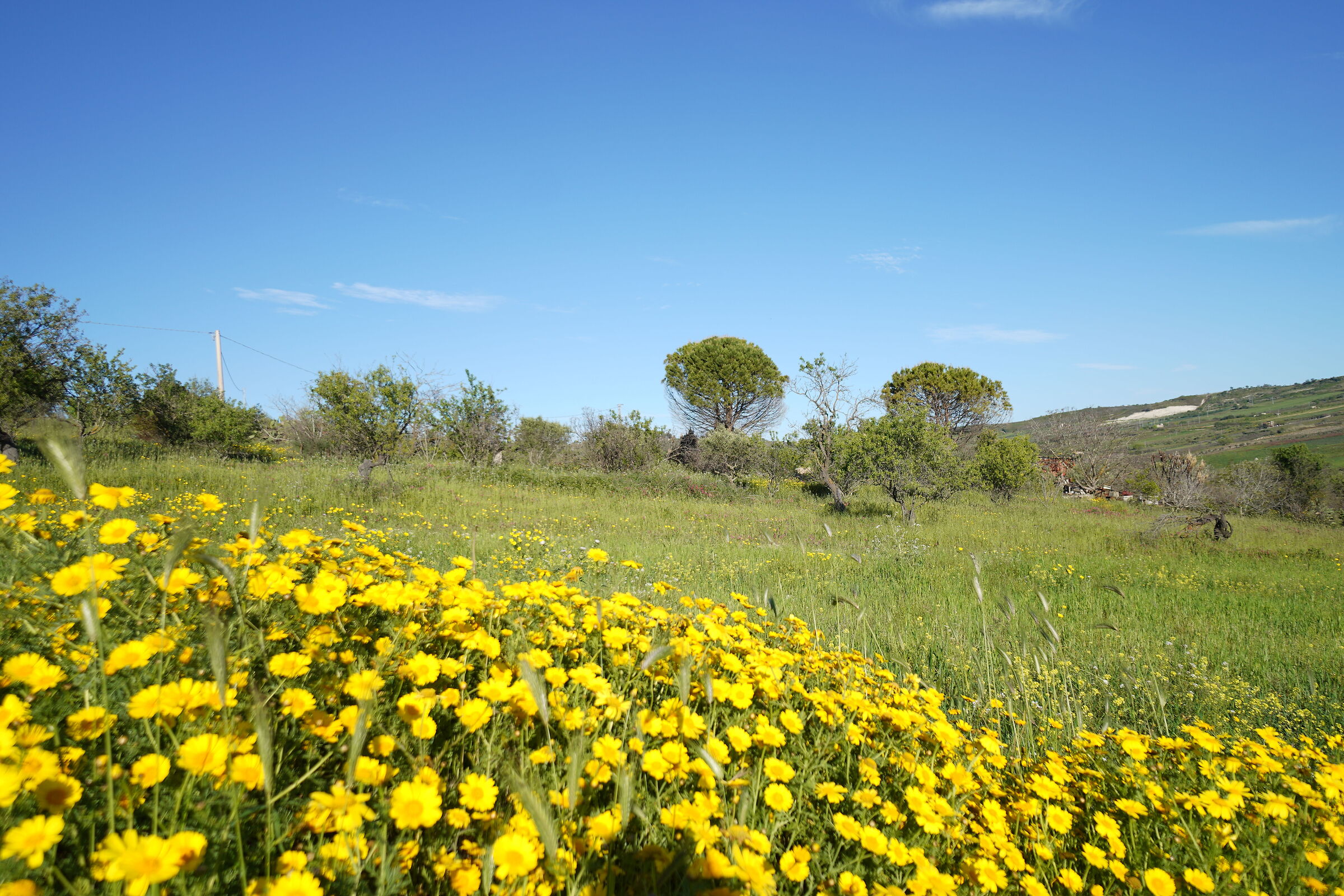 Campagna