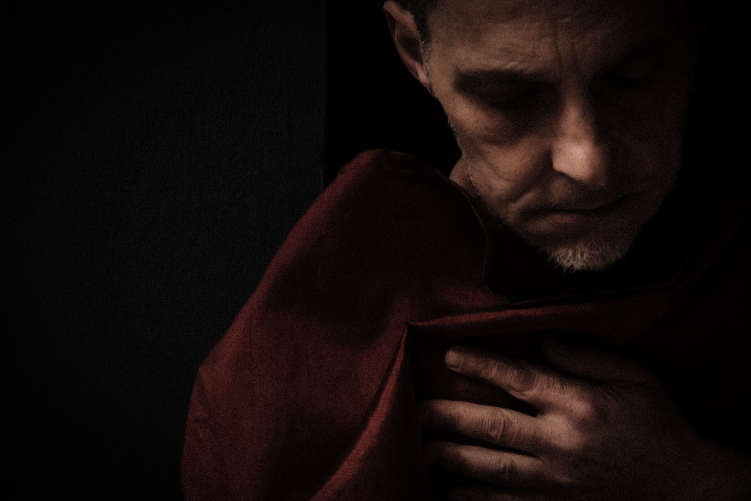 Light and dark portrait