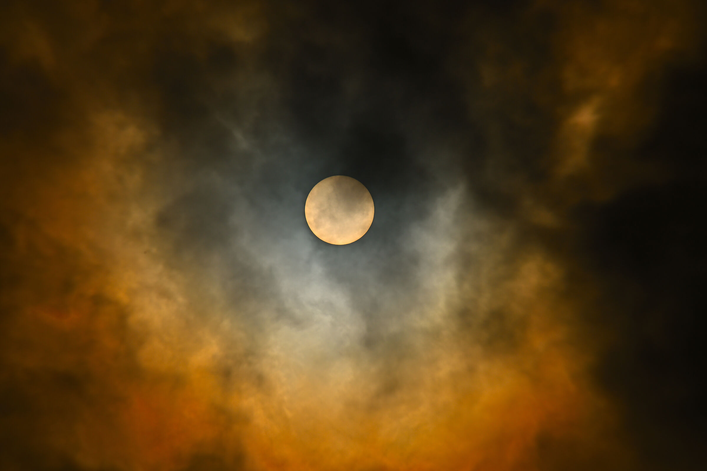 Untitled Photo