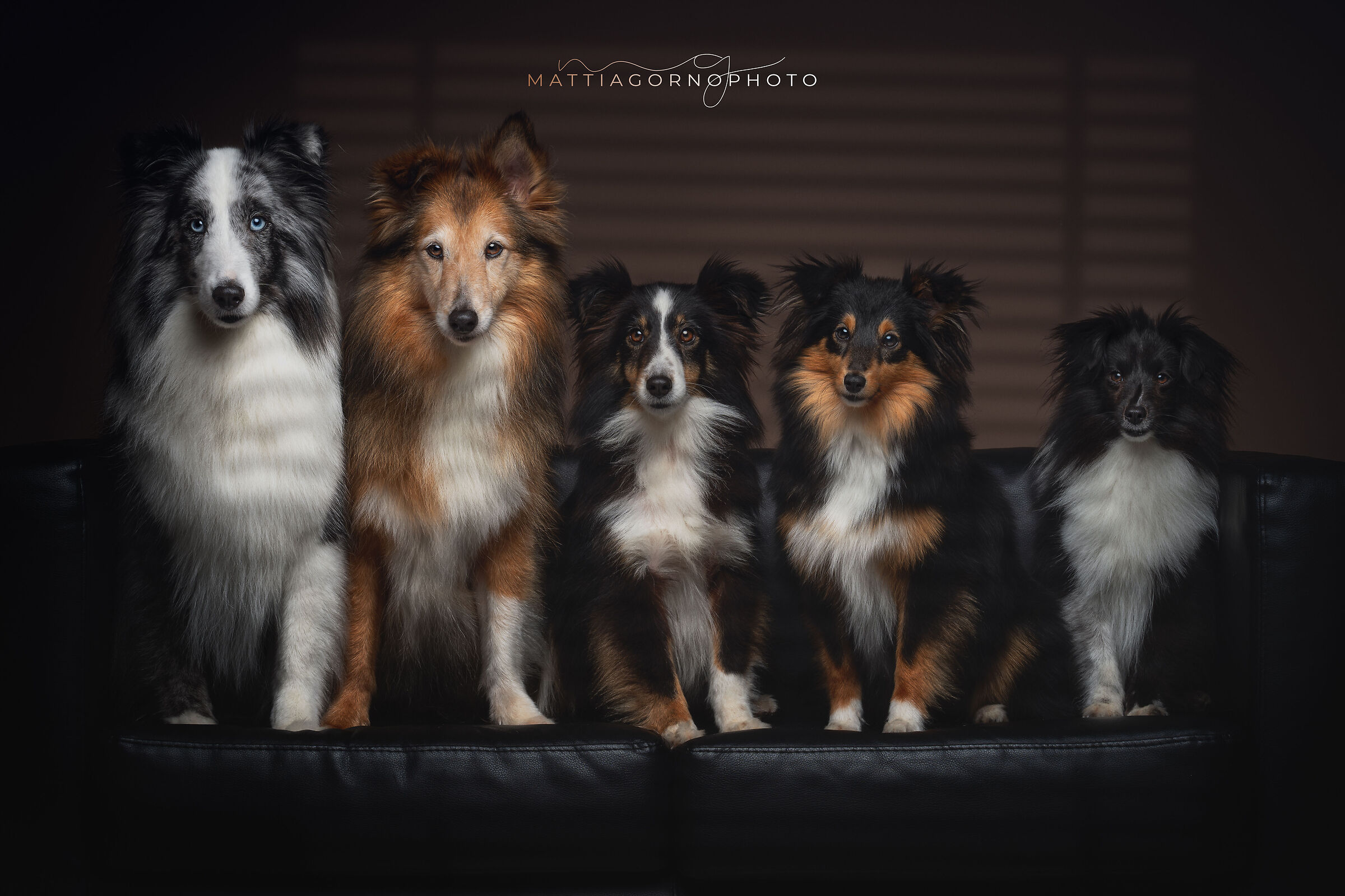 Sofa Squad