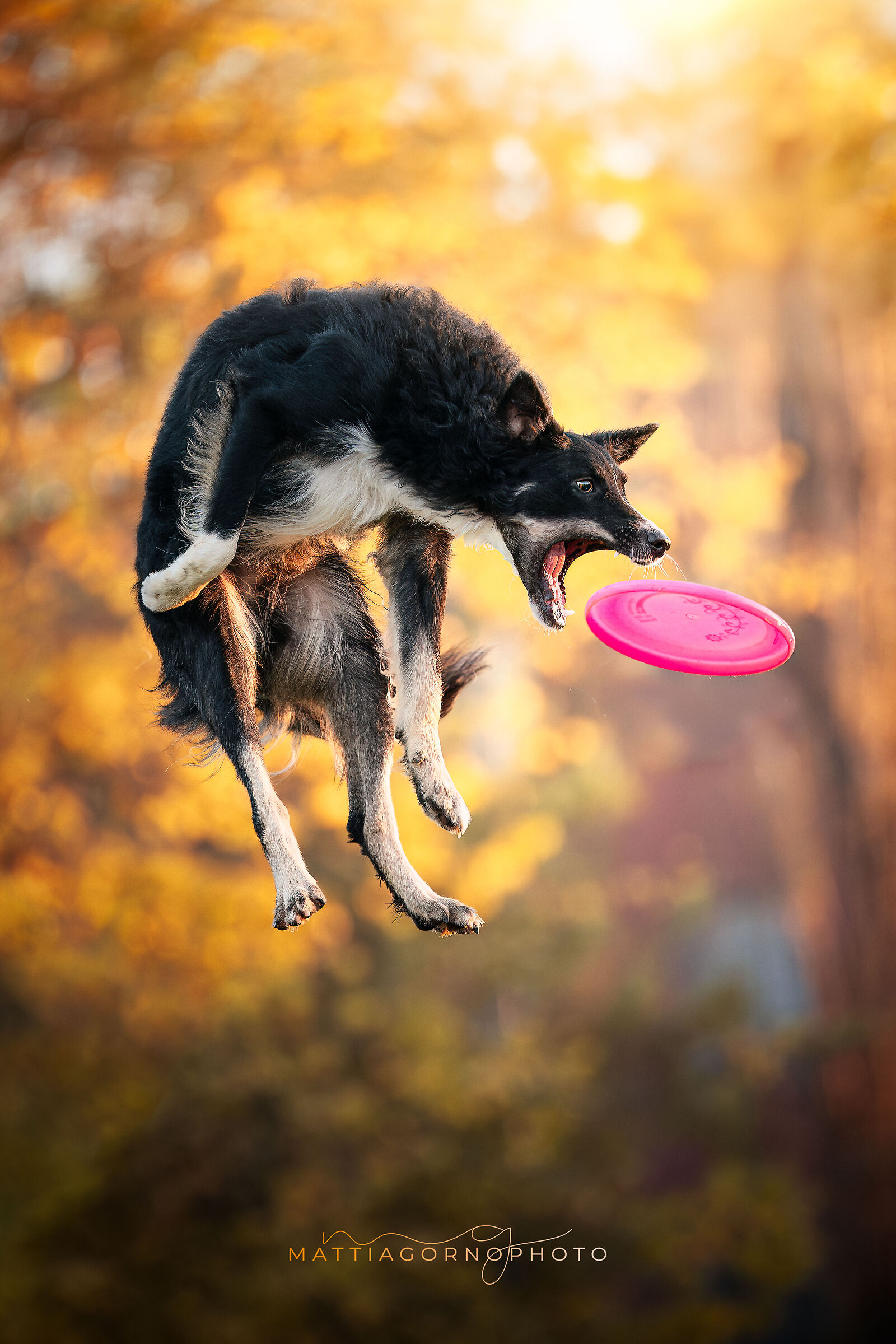 Sunday with friends - Hyzer