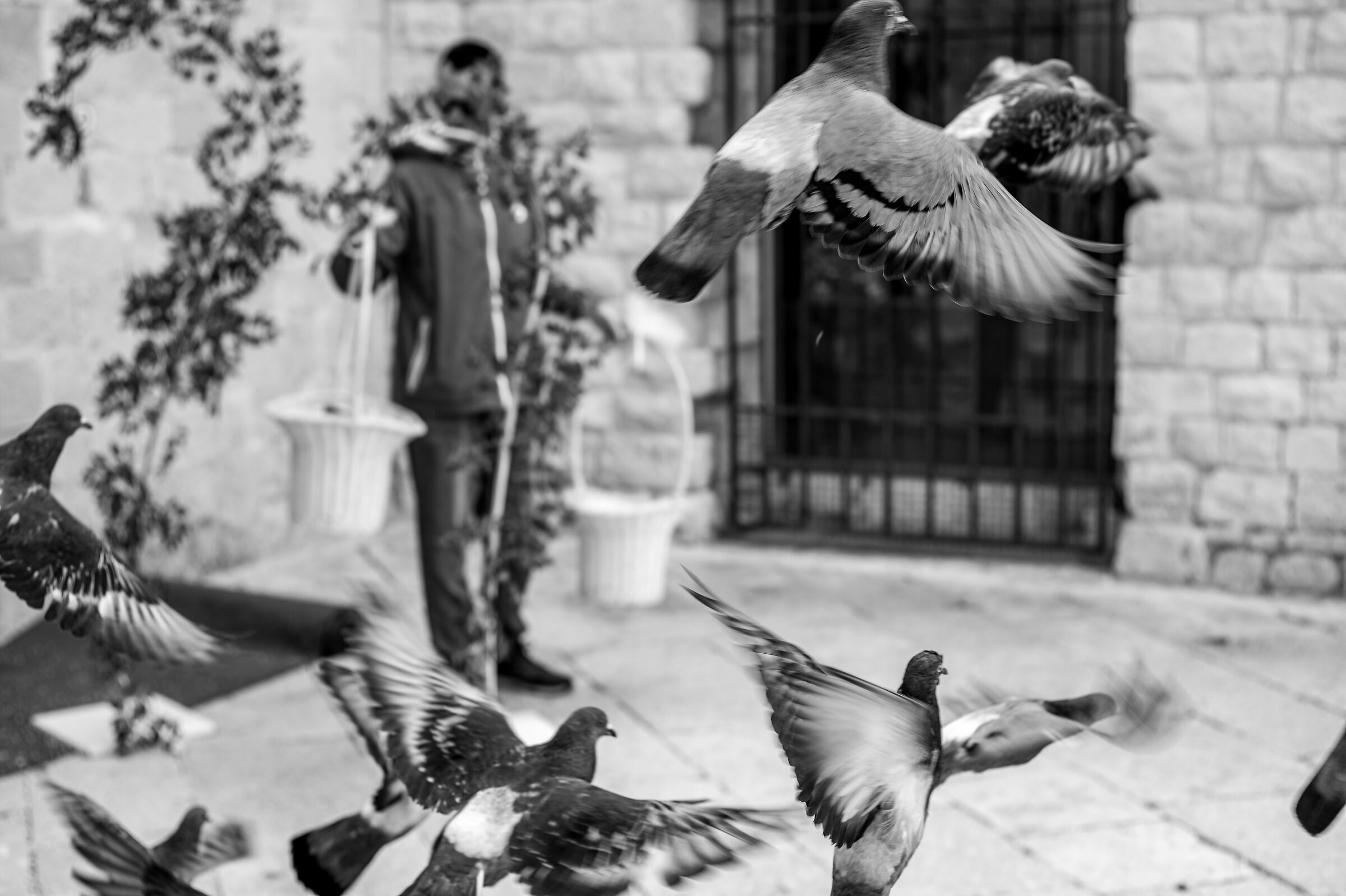 In movimento