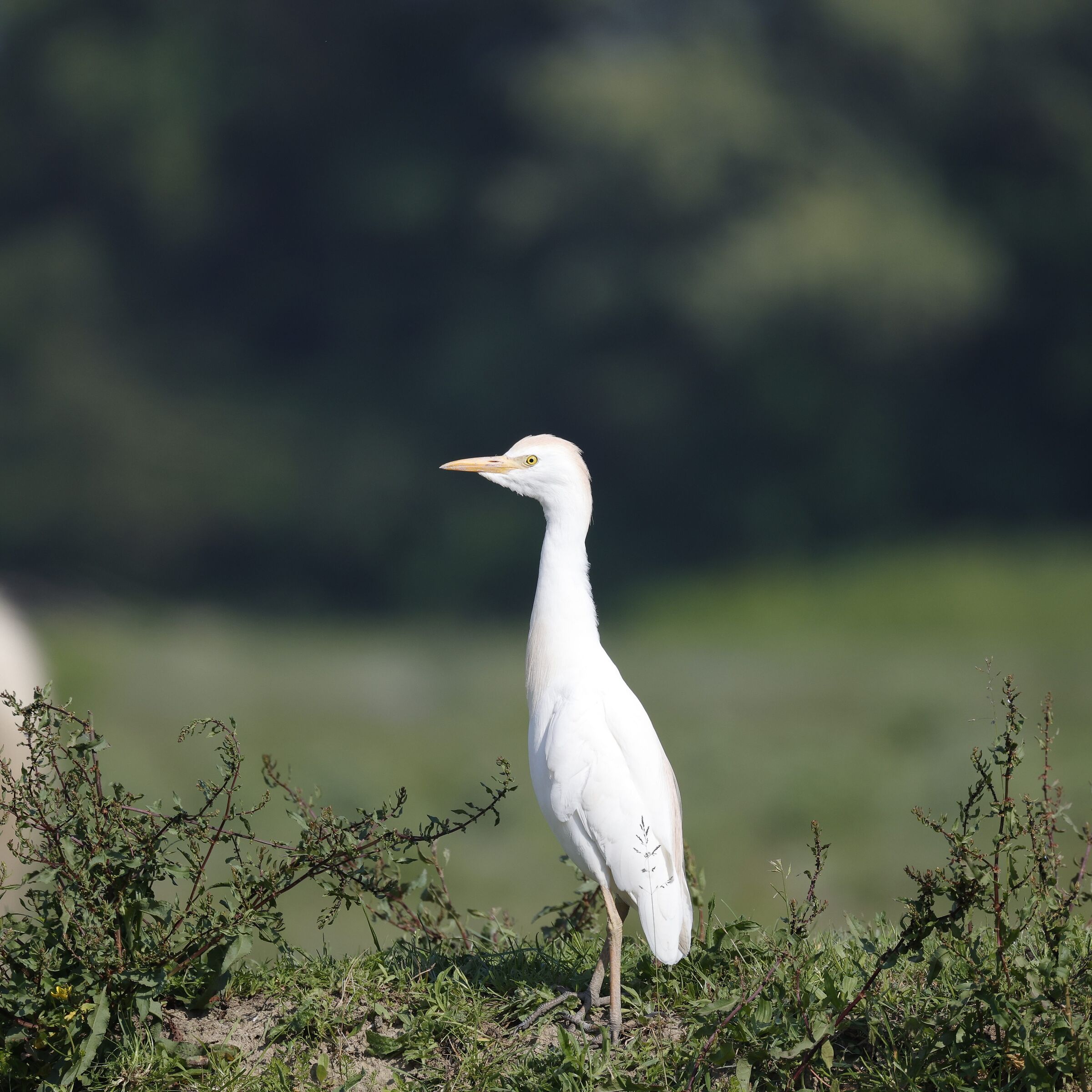 Untitled Photo
