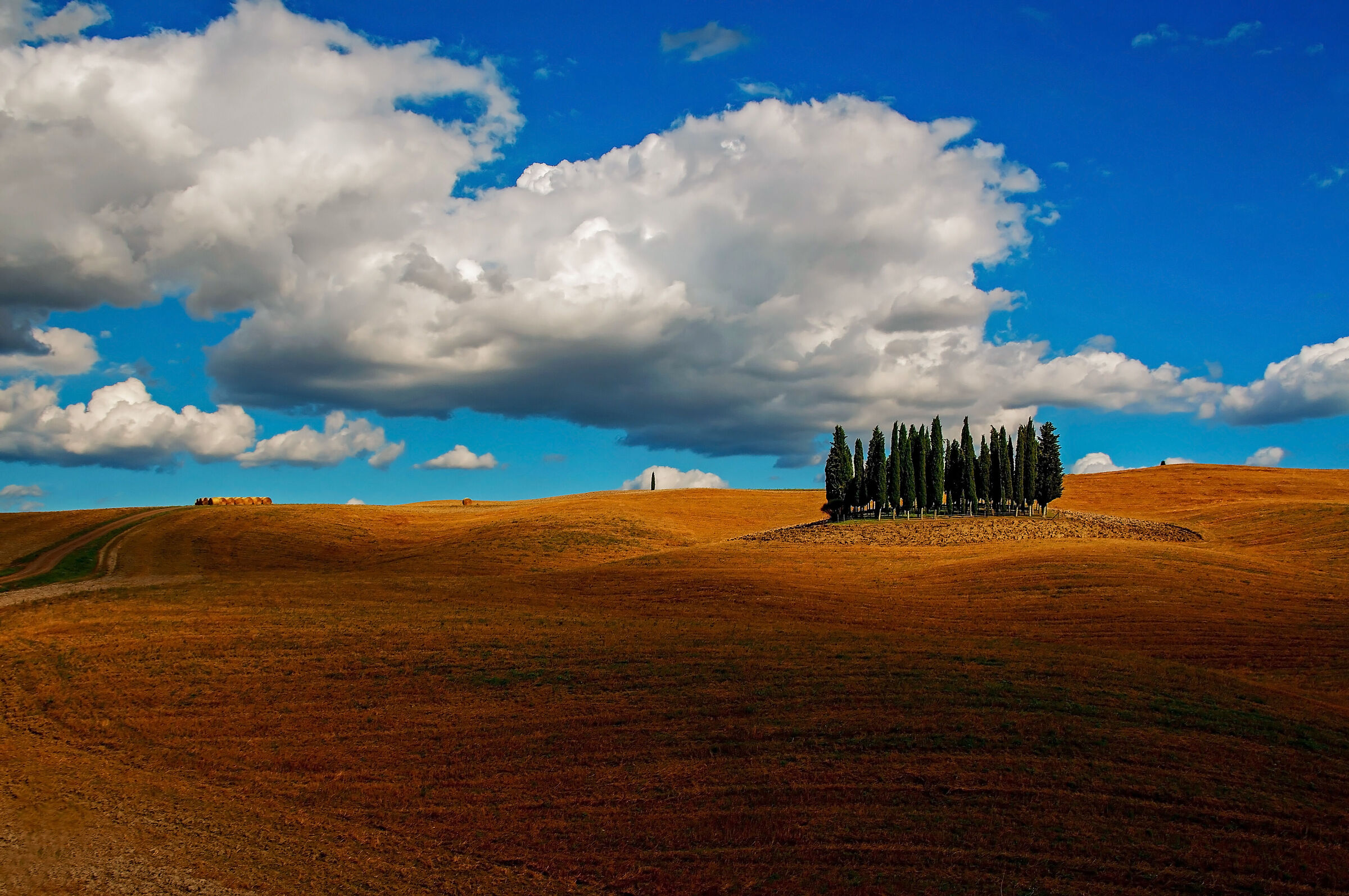 classico toscano...