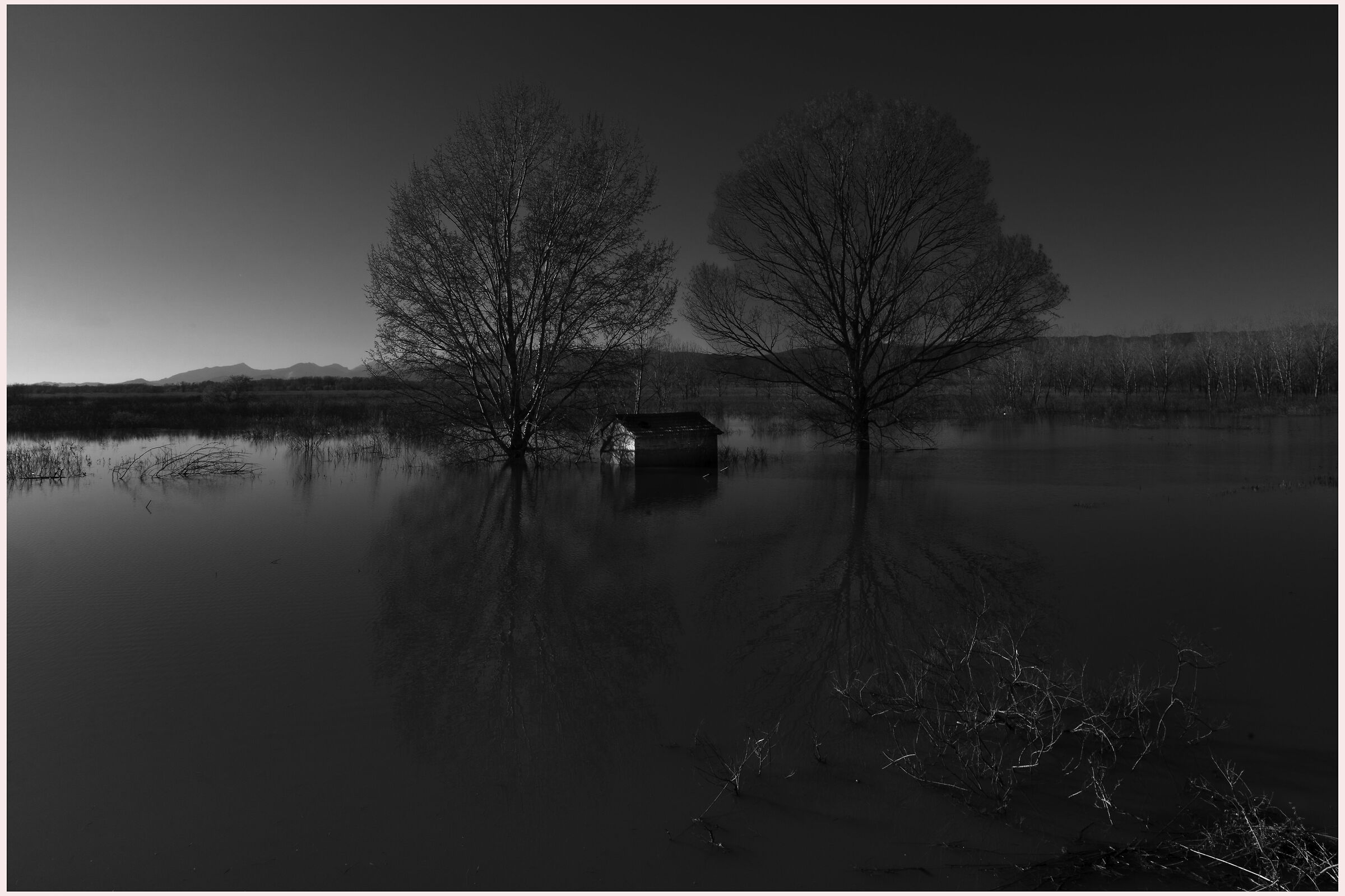 Sunset at the Fucecchio Marshes