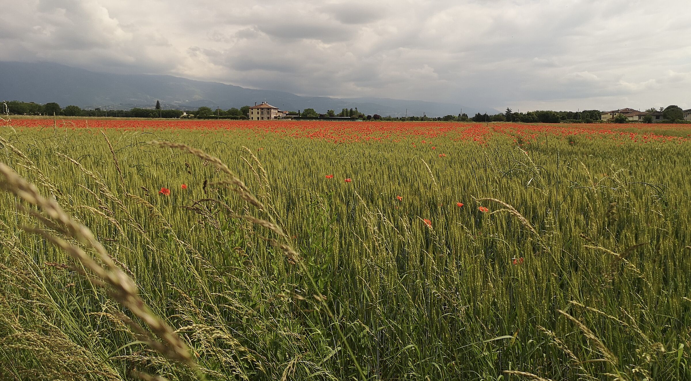 poco prima della burrasca