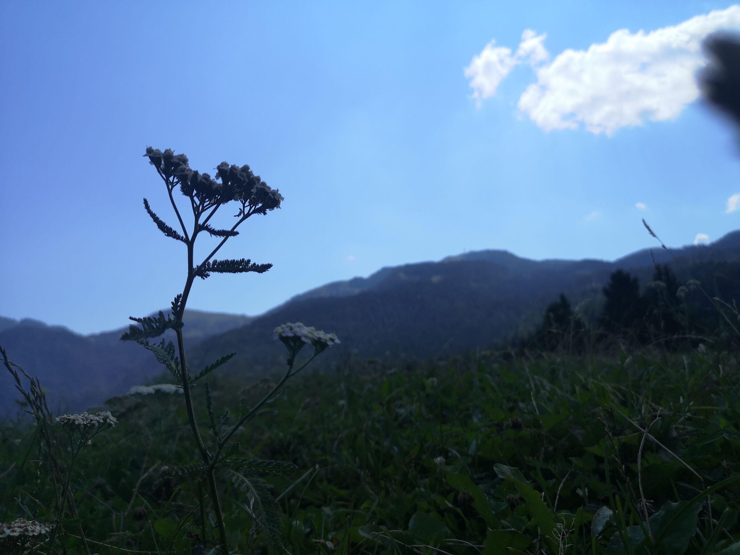 leggerezza e nessun pensiero...