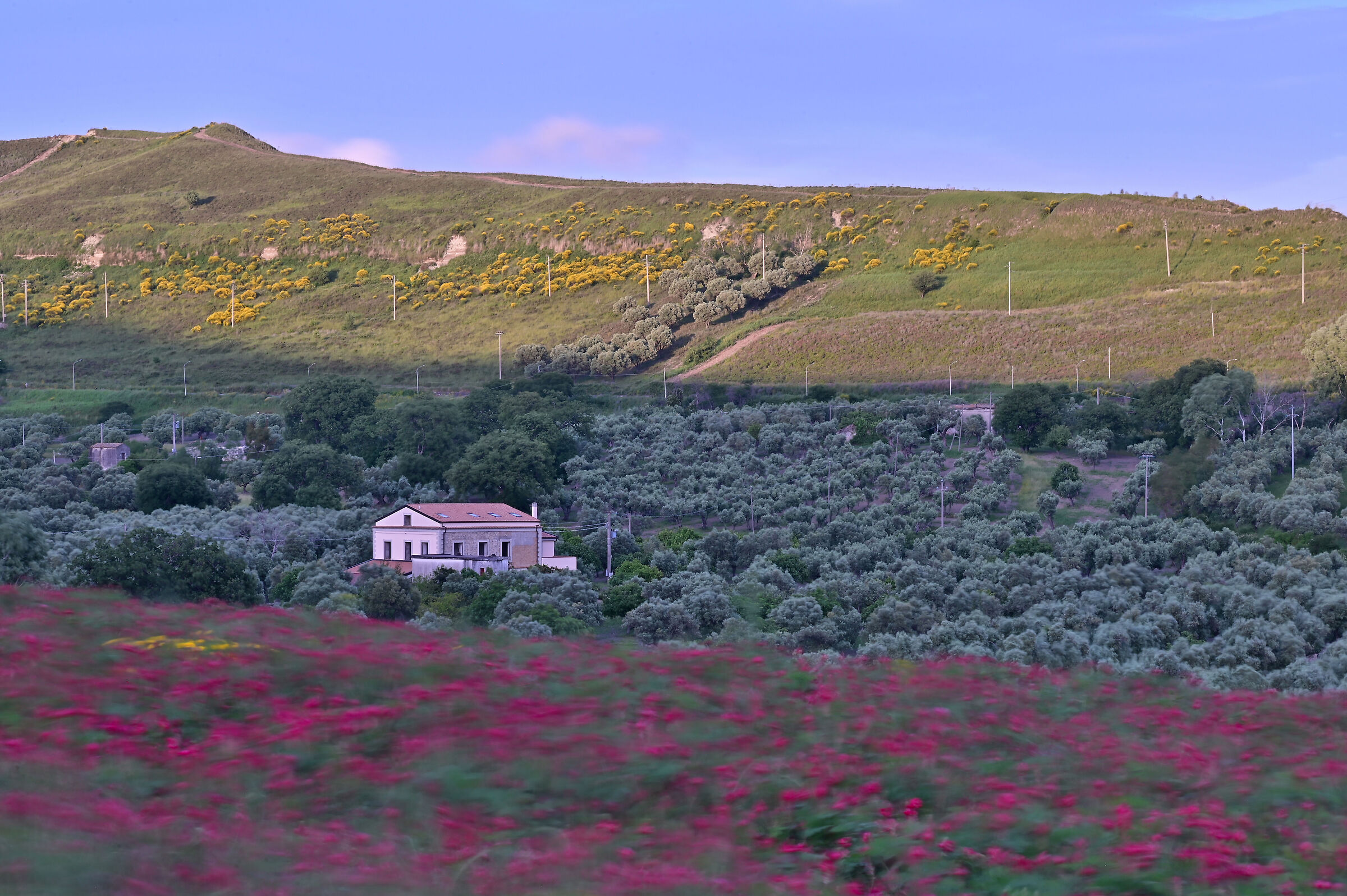 Mareggiata rossa di primavera