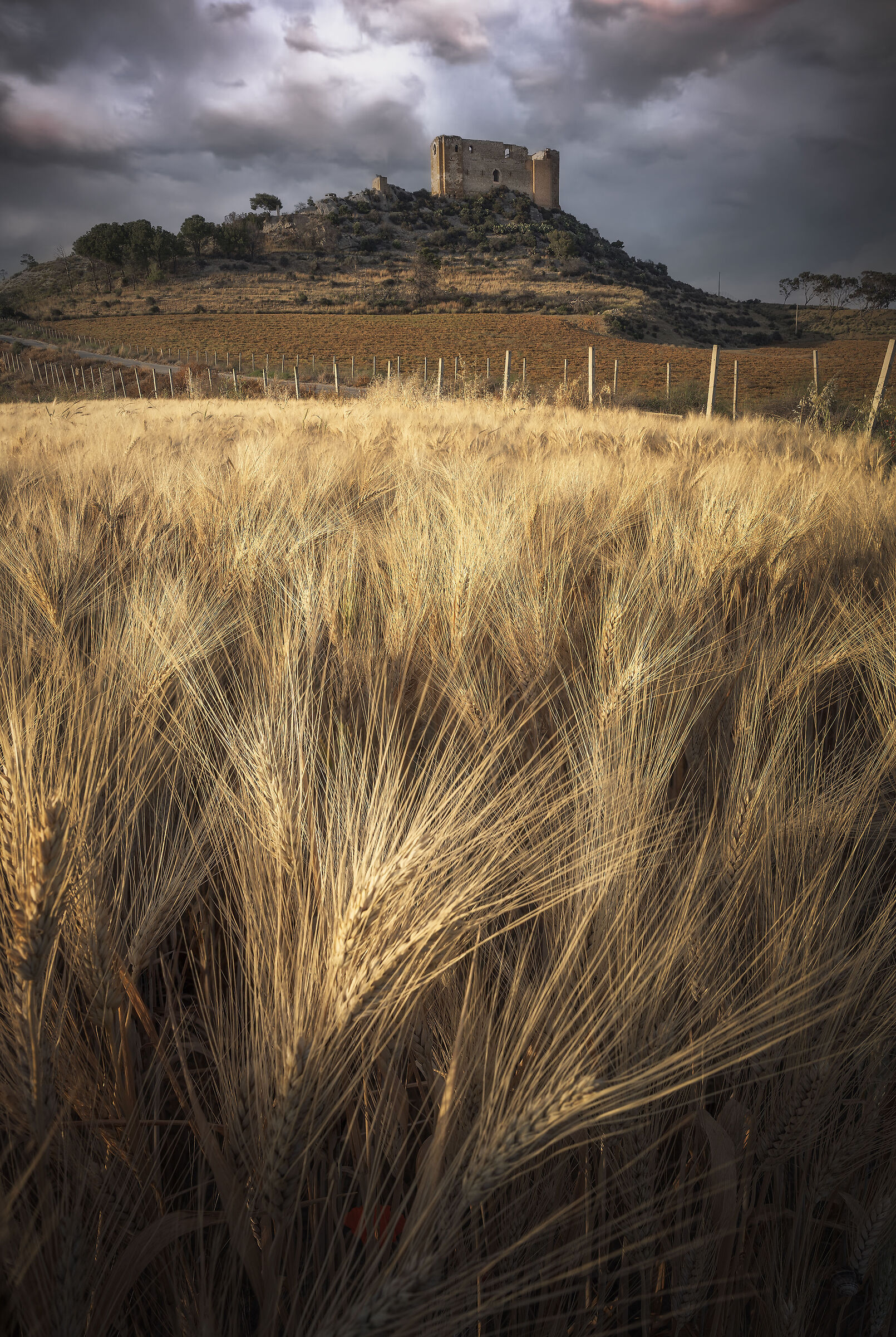 Fragments of Sicily