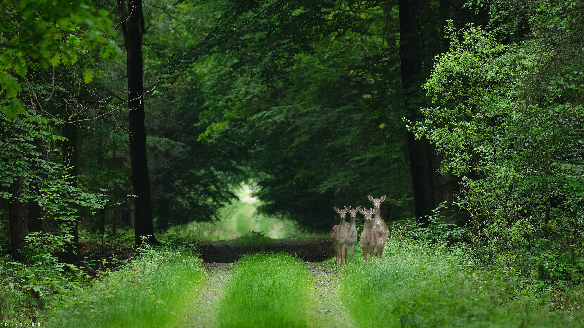 "You came to the wrong neighborhood..."