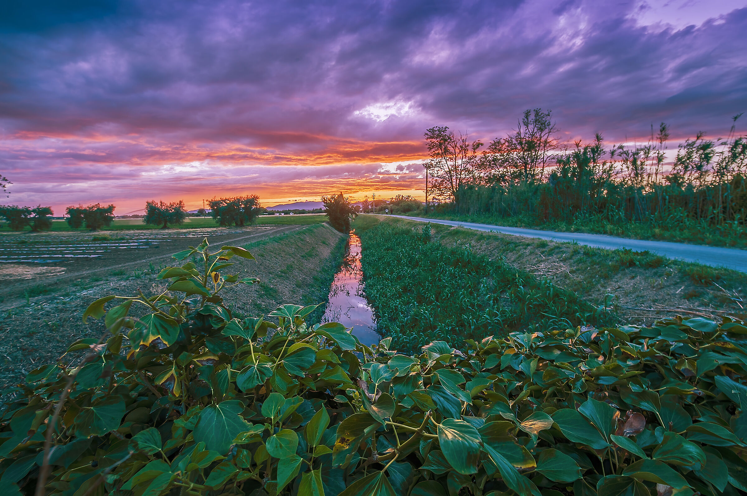 Sunset in the countryside