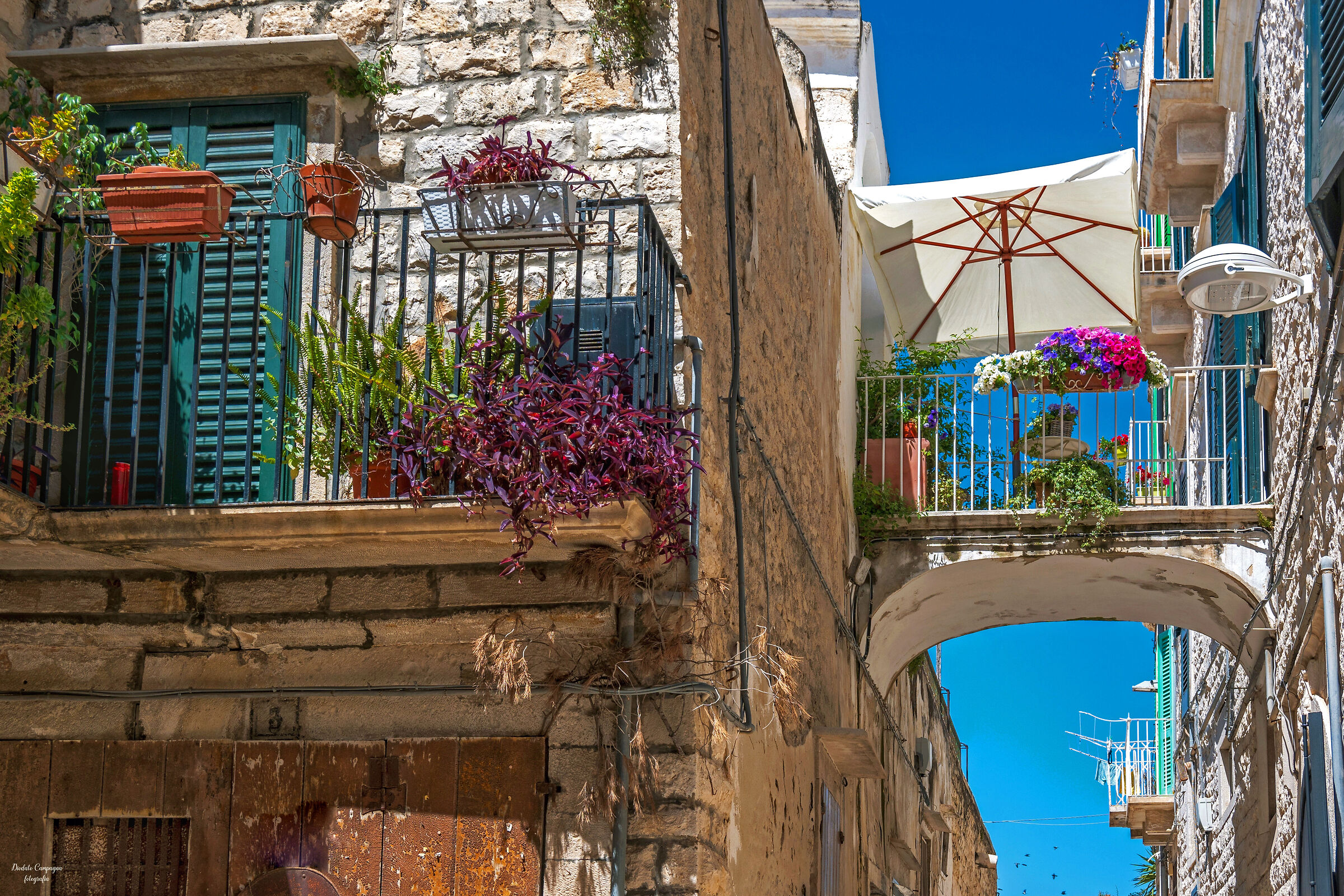 I colori di Molfetta