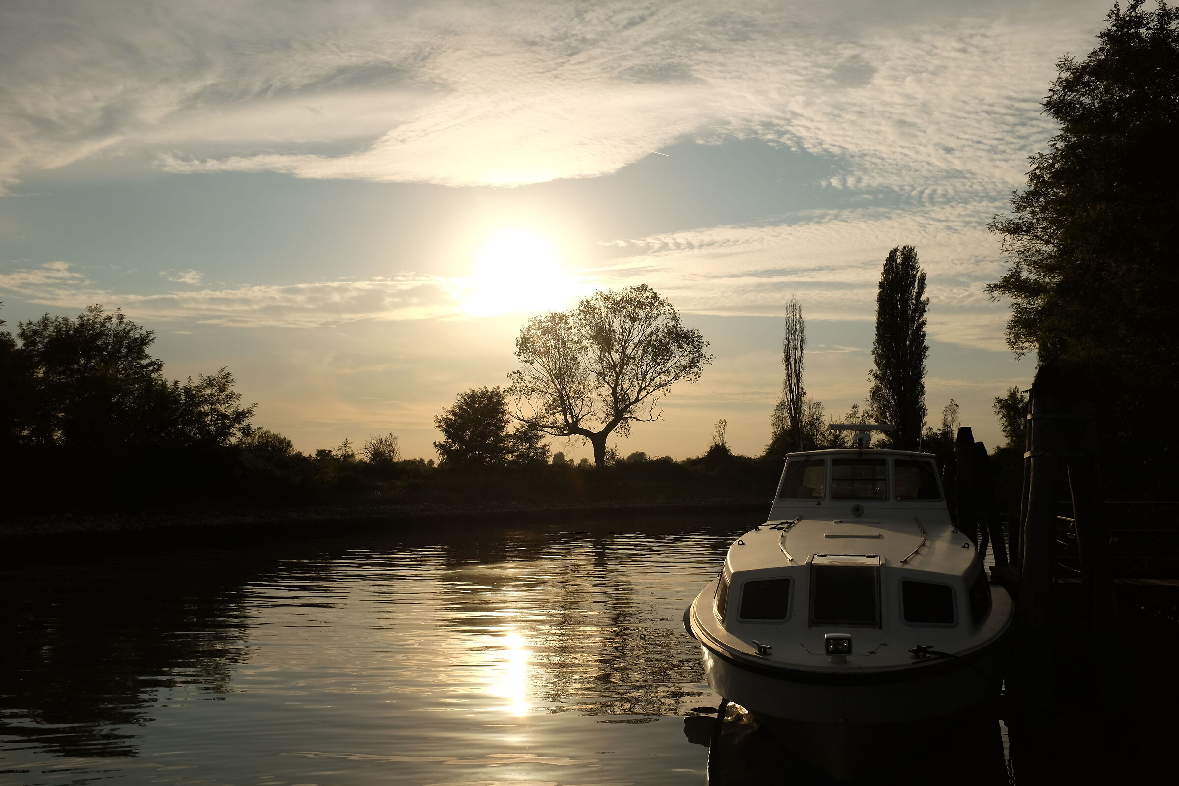 Untitled Photo