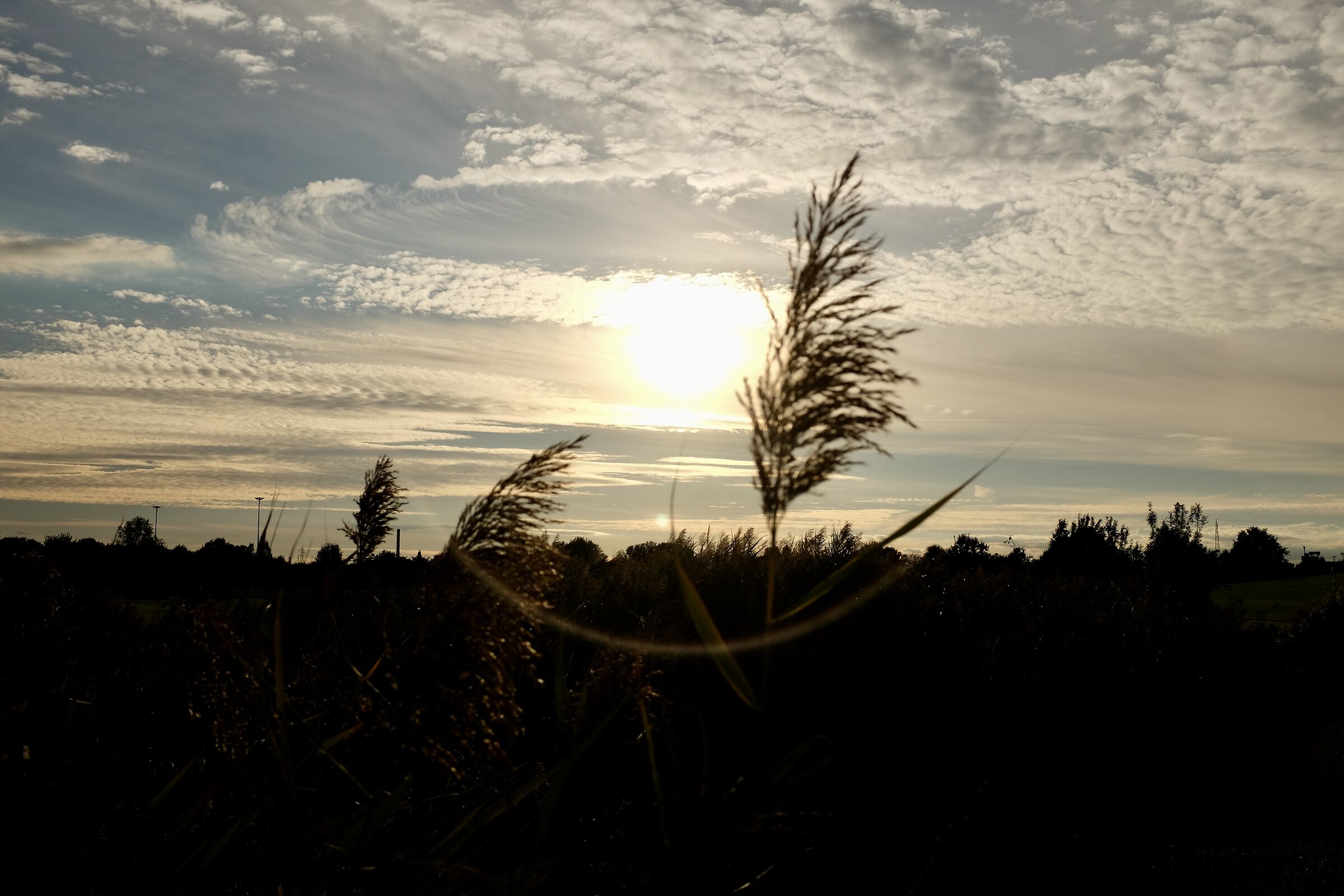 Untitled Photo