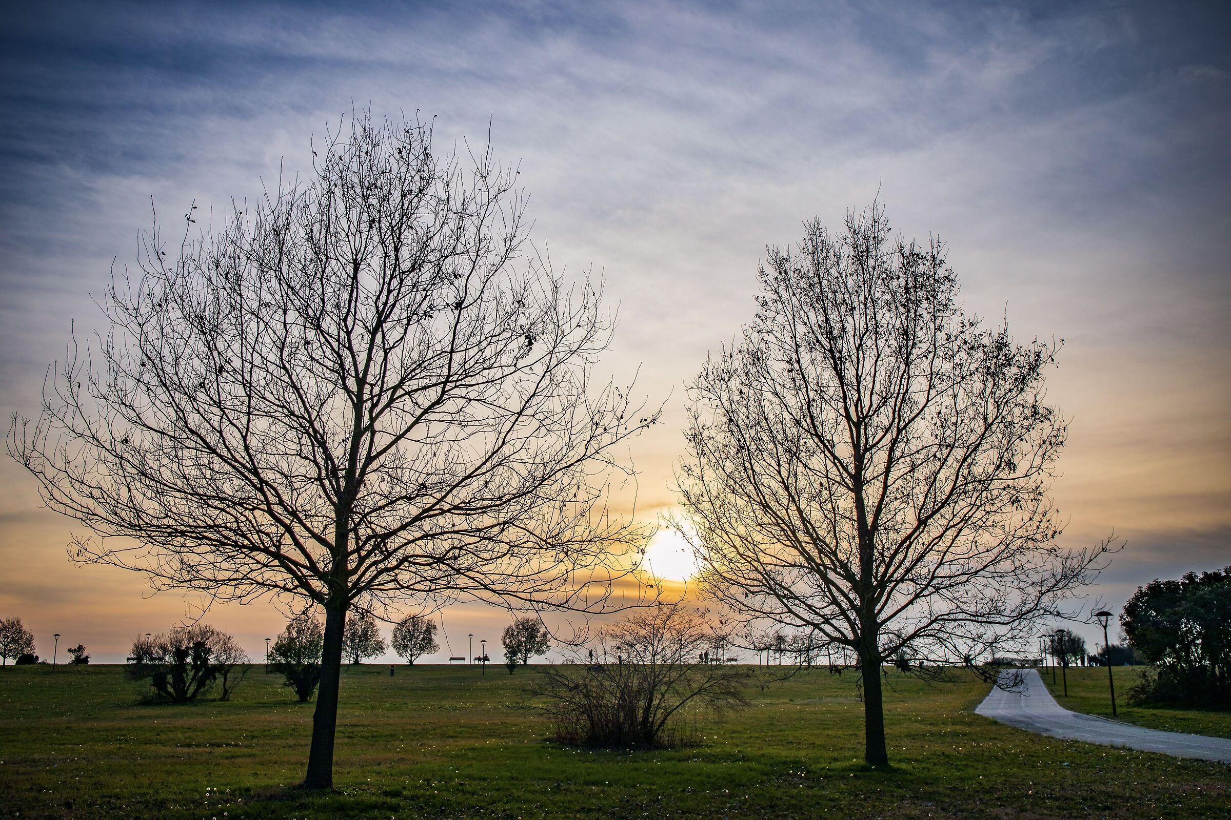 Untitled Photo