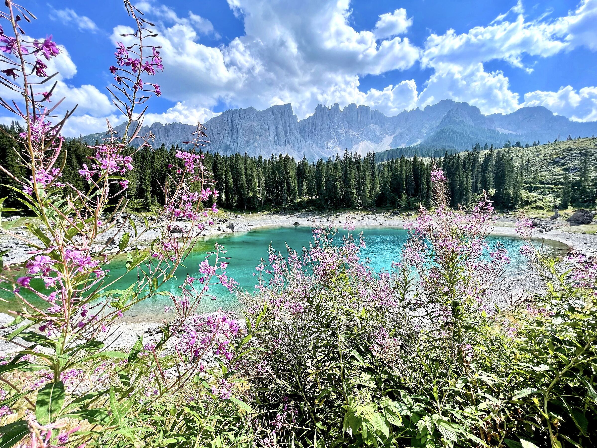Untitled Photo