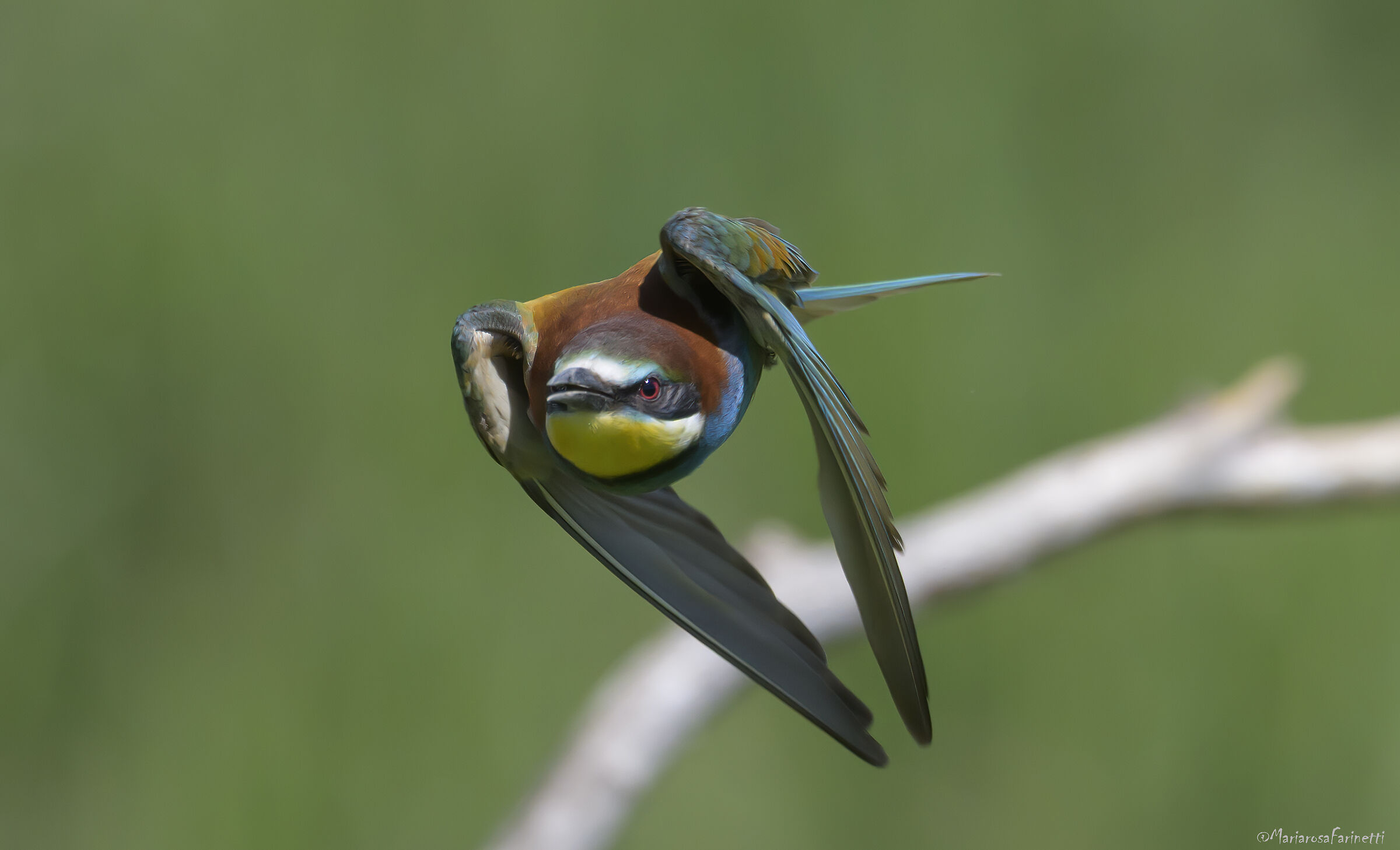 ogni sguardo ha il suo panorama