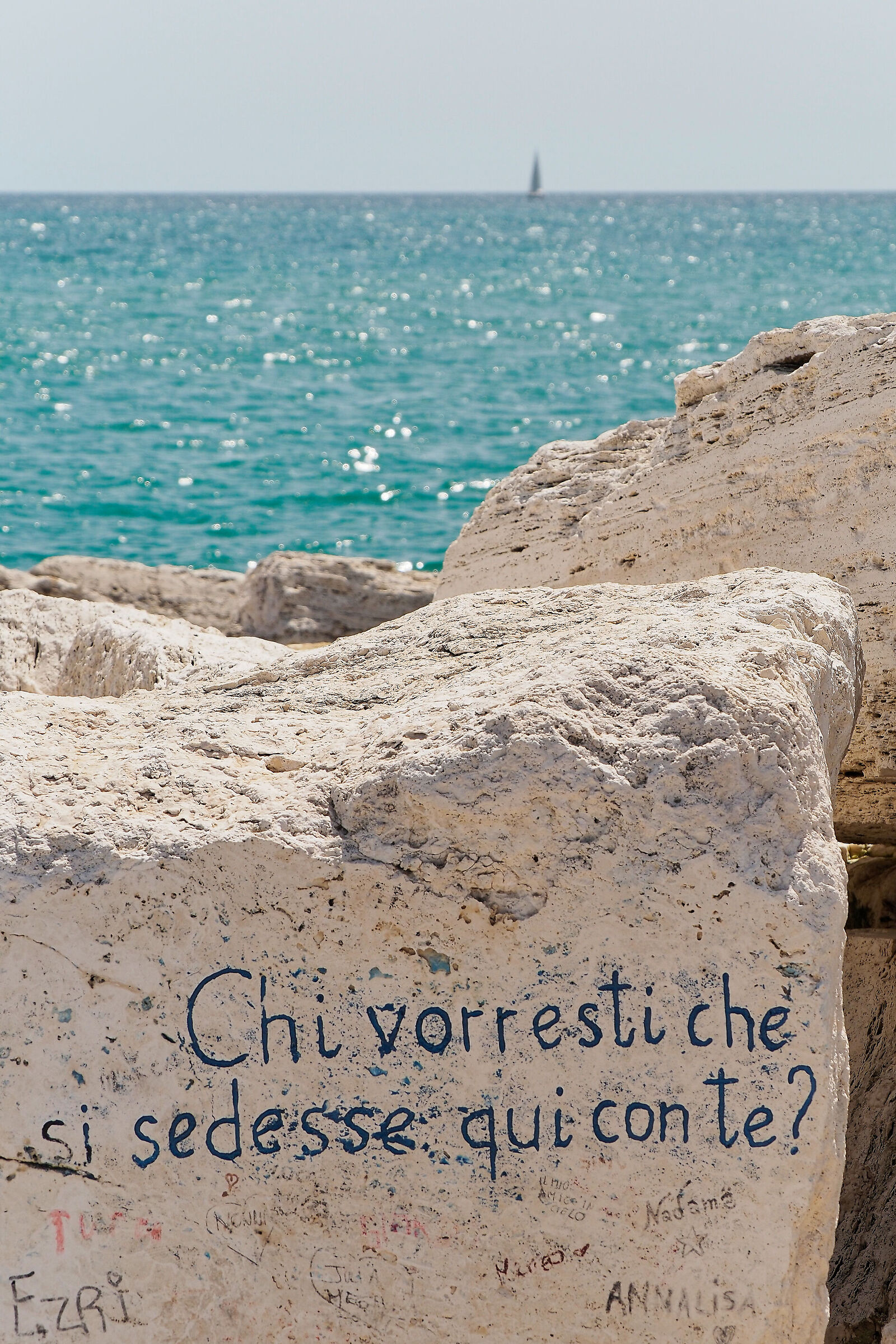 SAN BENEDETTO_2024 (_6221005-1)