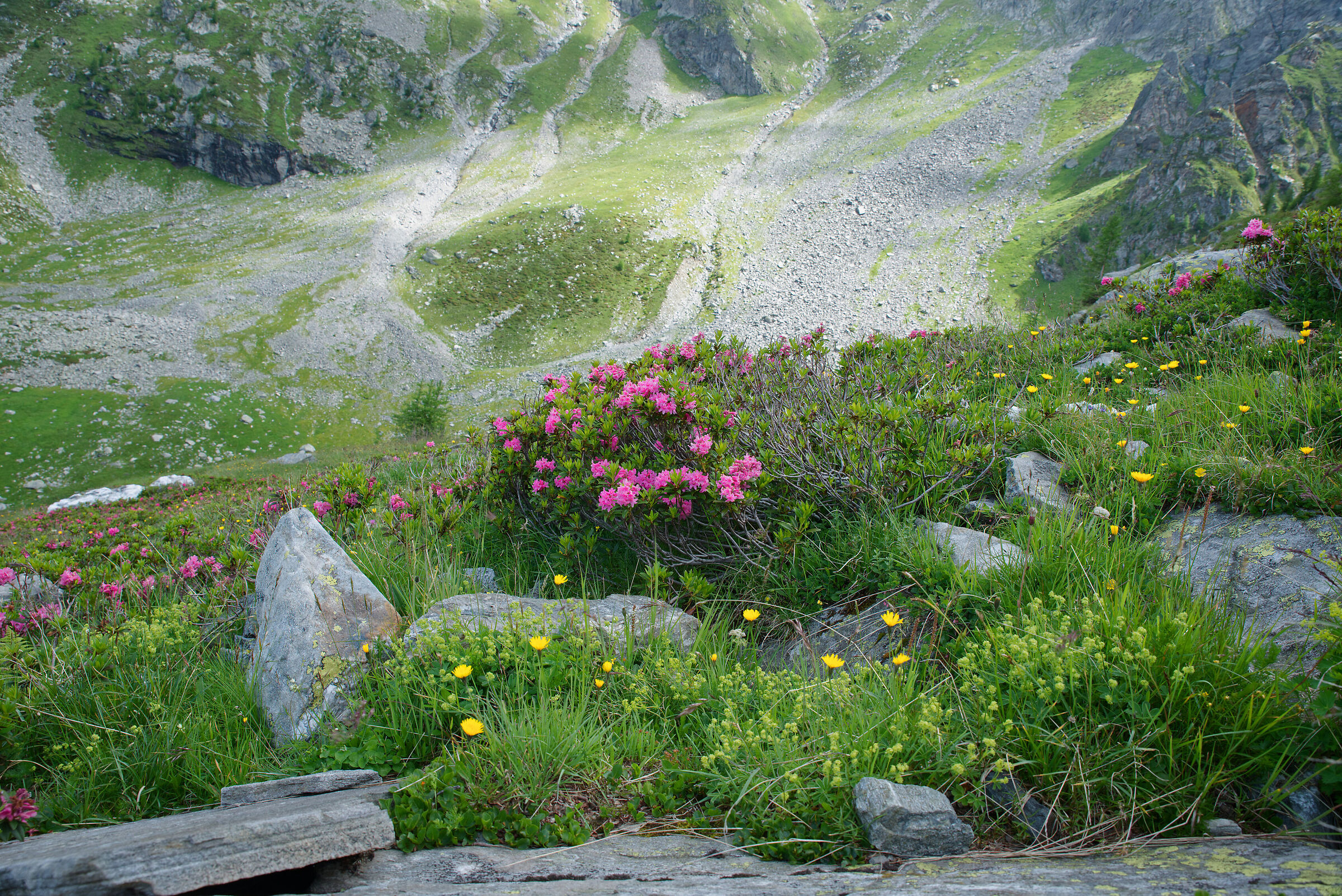 Val Formazza-Fondovalle-Lago Superiore