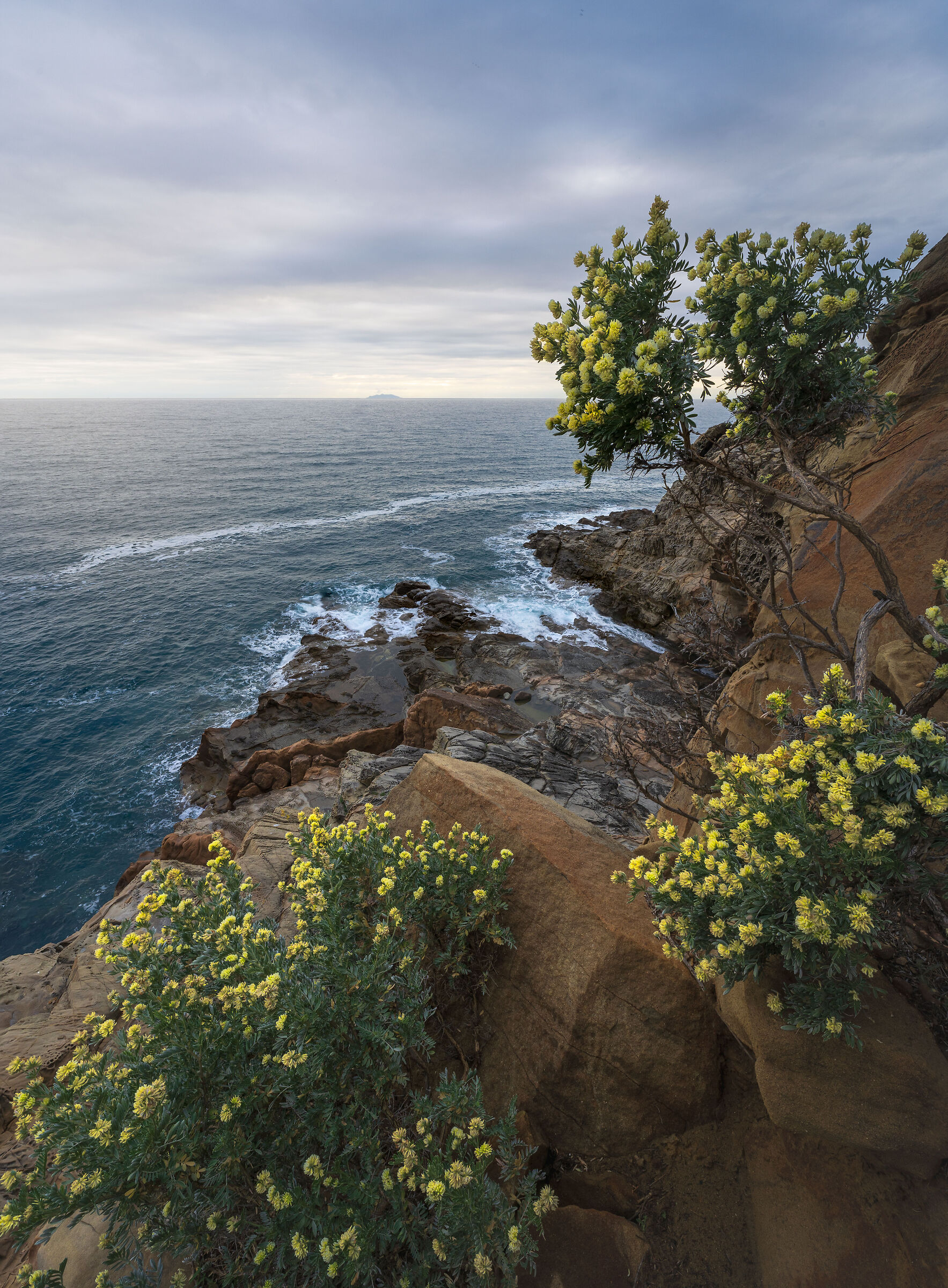 Costa degli Etruschi