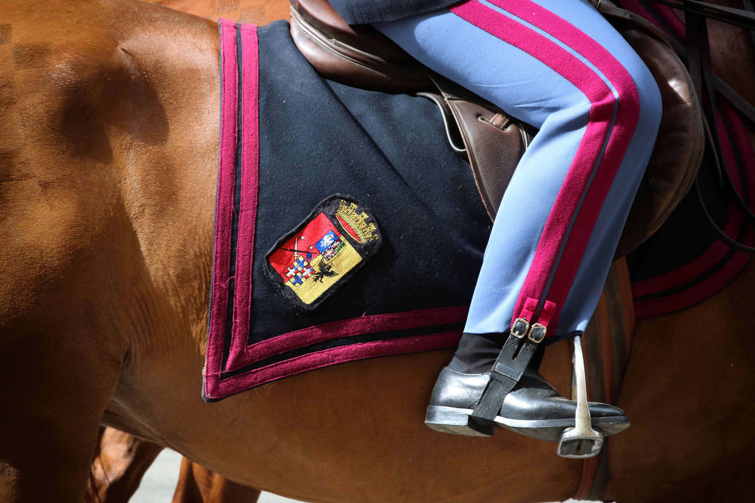 Dettaglio cadetto a cavallo, Modena