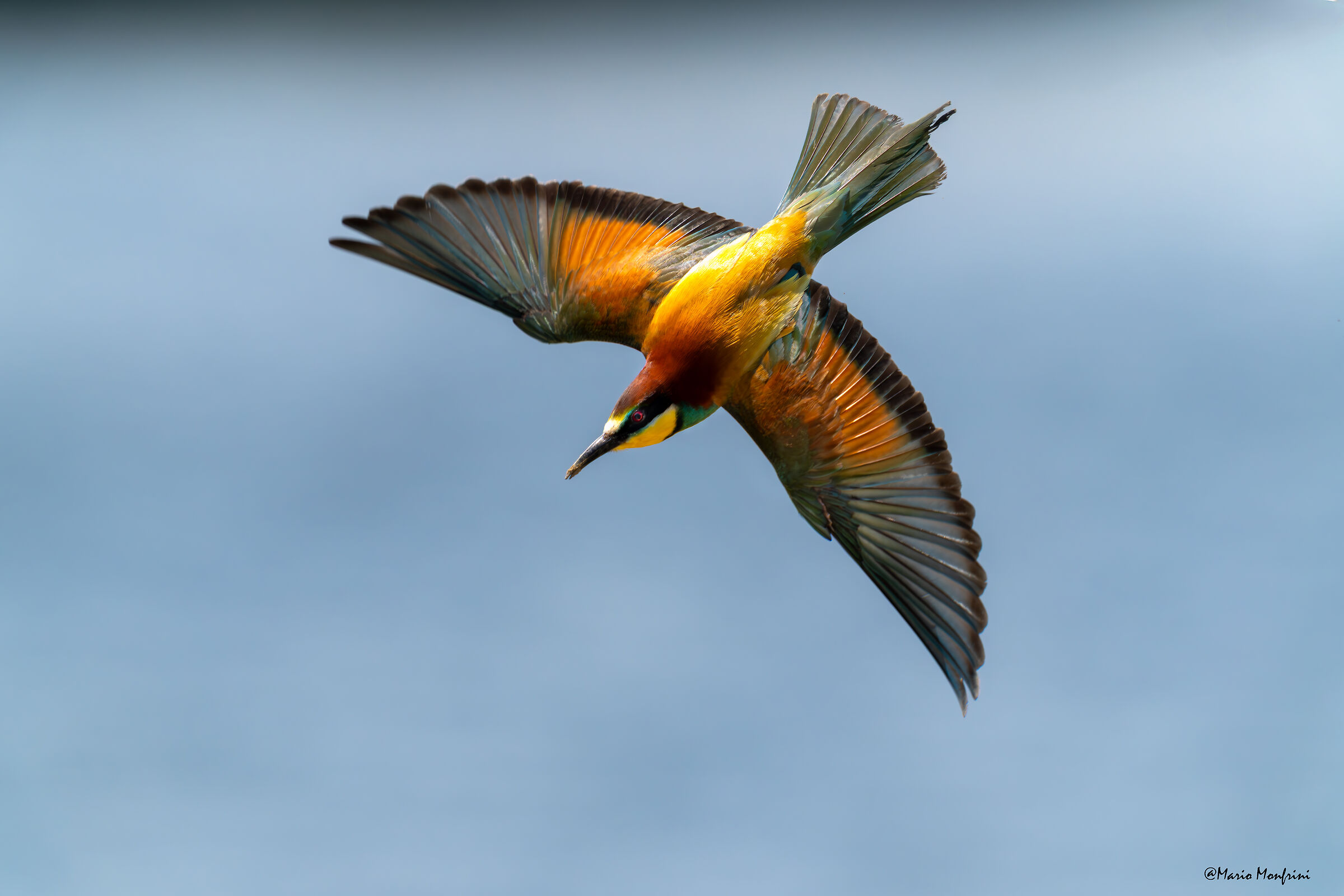 Un'esplosione di colori