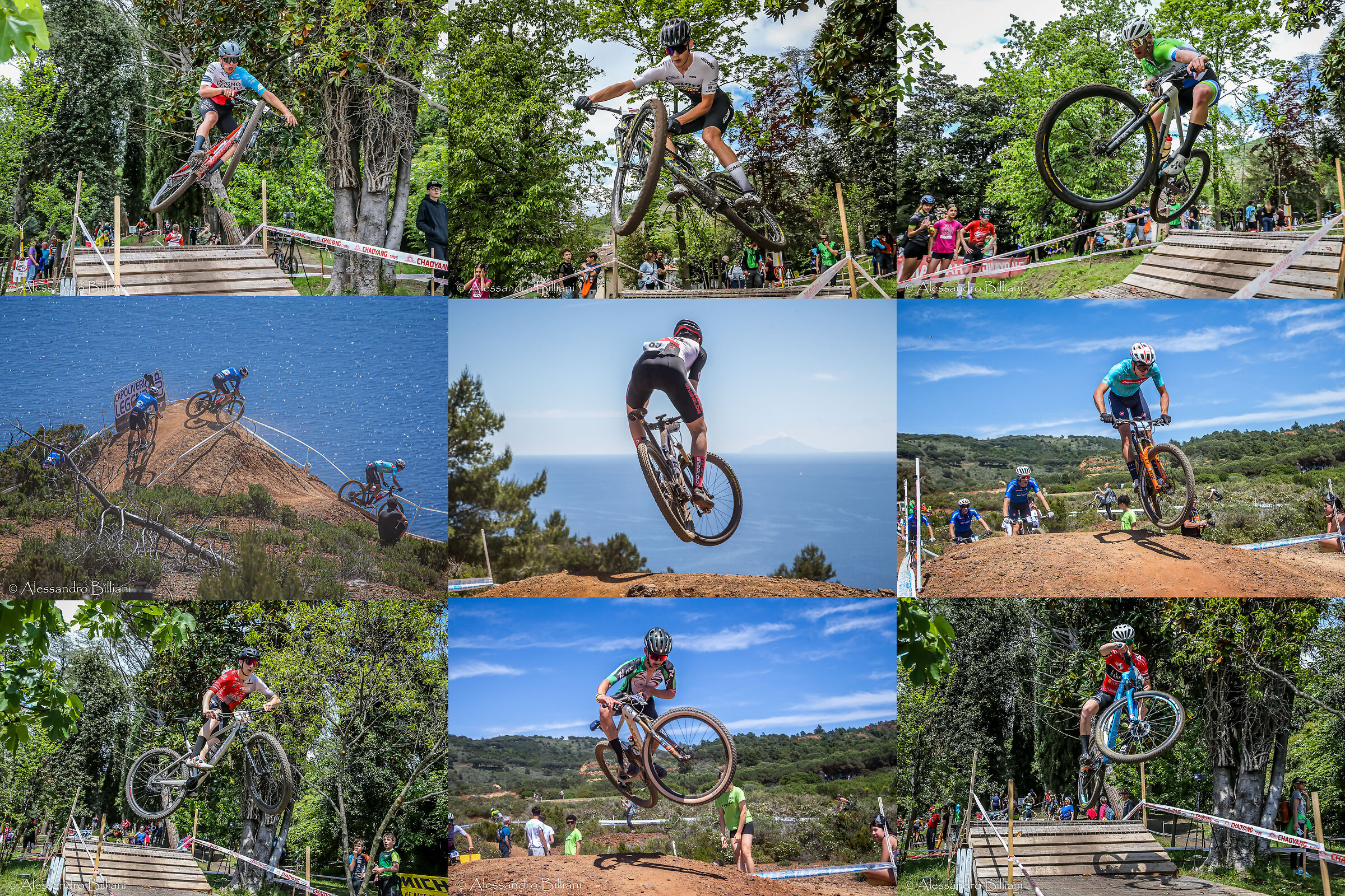 At the Whip Festival