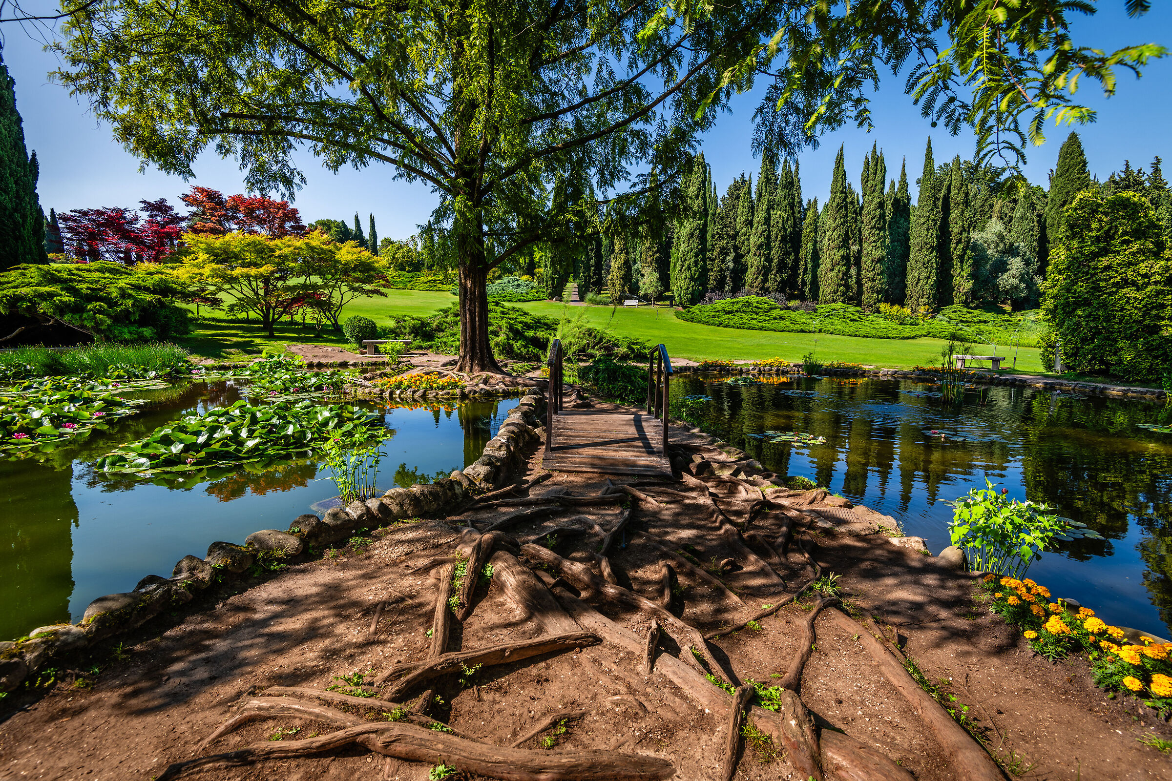 La bellezza della natura